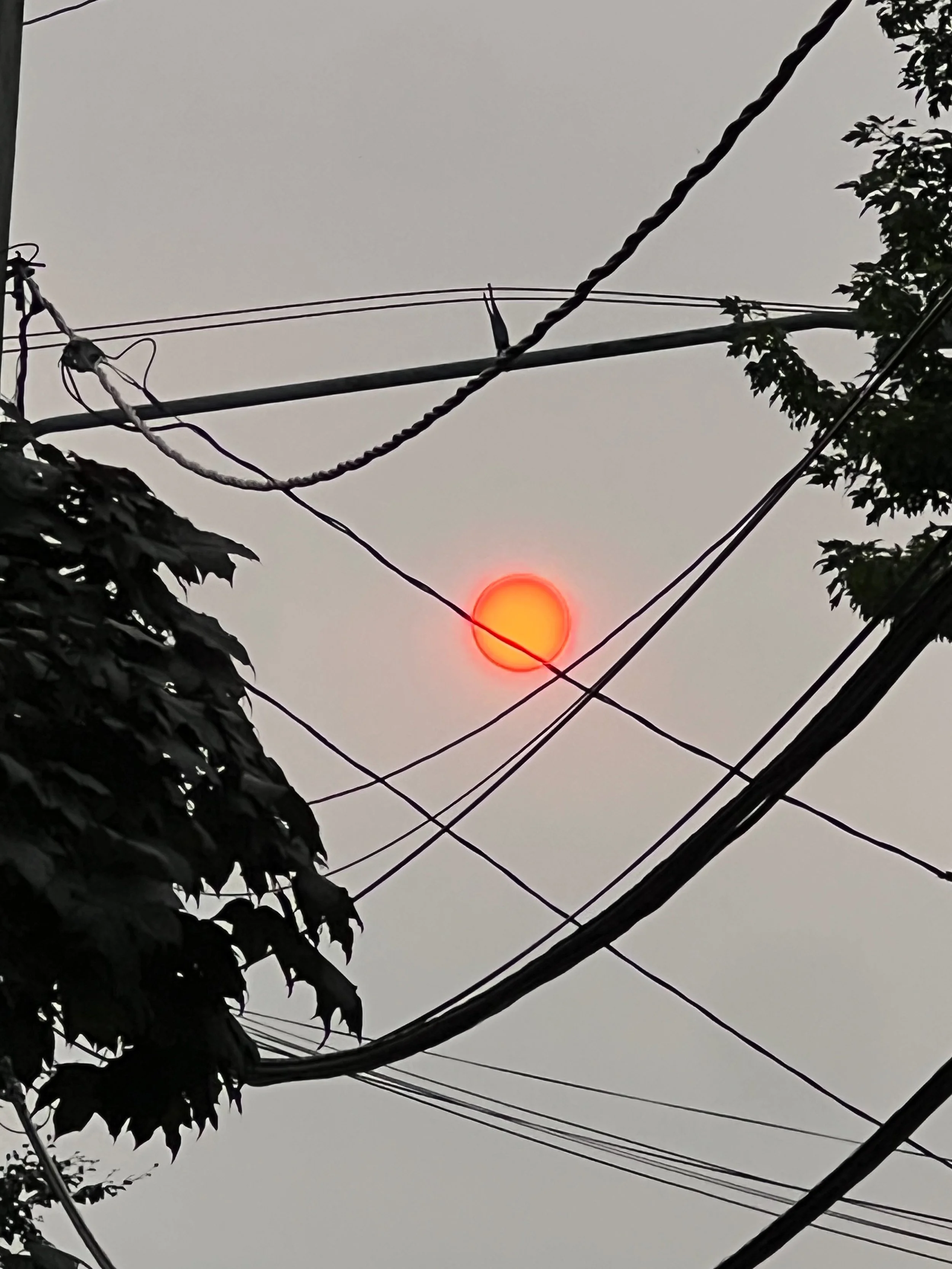 009