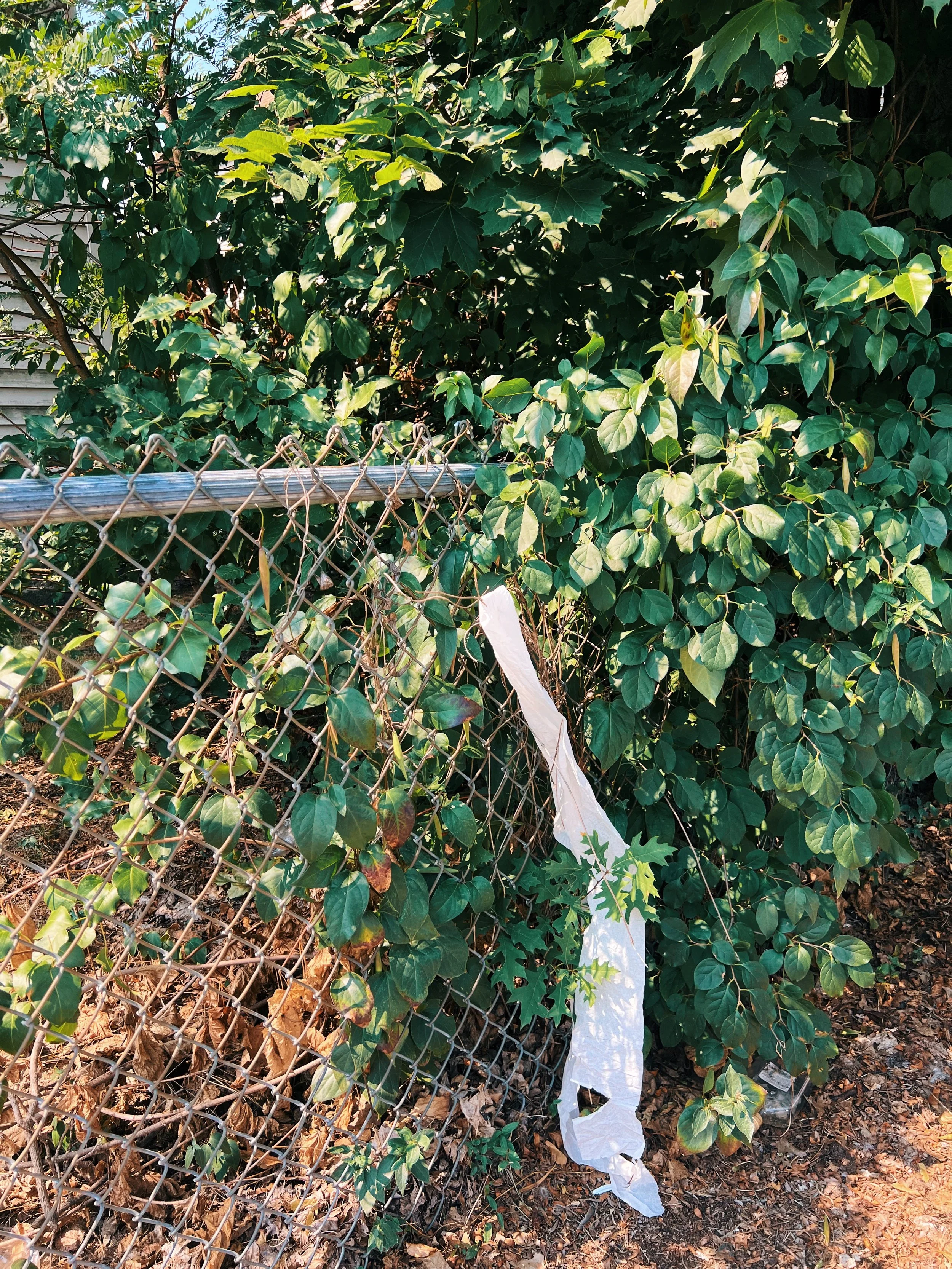 IMG_8482_VSCO.JPG