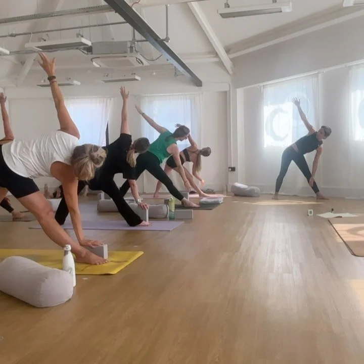 Yoga teacher training | Class of 2025 ✨
We had an incredible 7 month journey that began in the dark month of January, and closed in the warm and bright month of July. 
Our graduates are the most incredible group ✨ we can’t wait to all meet up