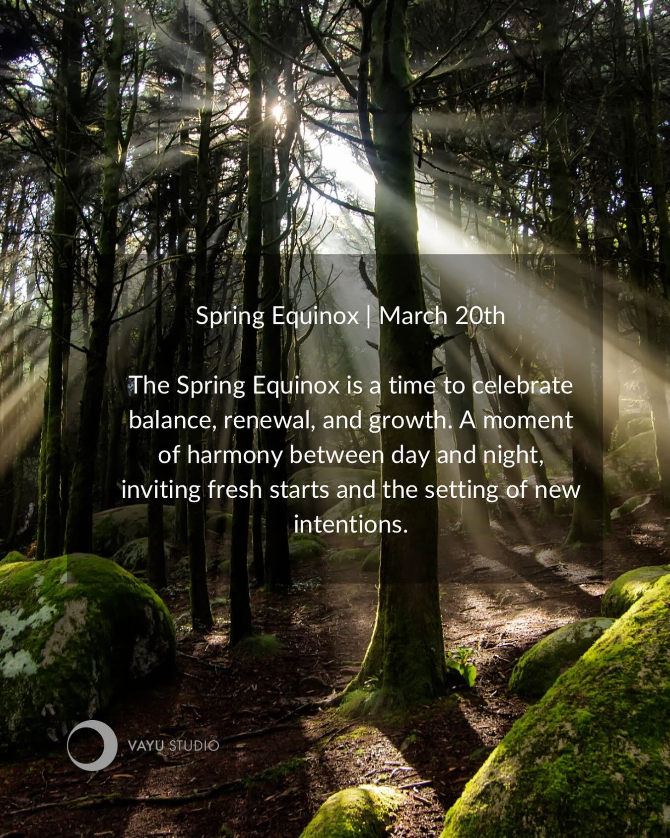 March 20th | Today is the spring equinox 🌿 How amazing has the sun felt this week?

The equinox is a time of renewal, transformation, and creation, the threshold where light and darkness find balance before the days grow longer.

An invitation to sh