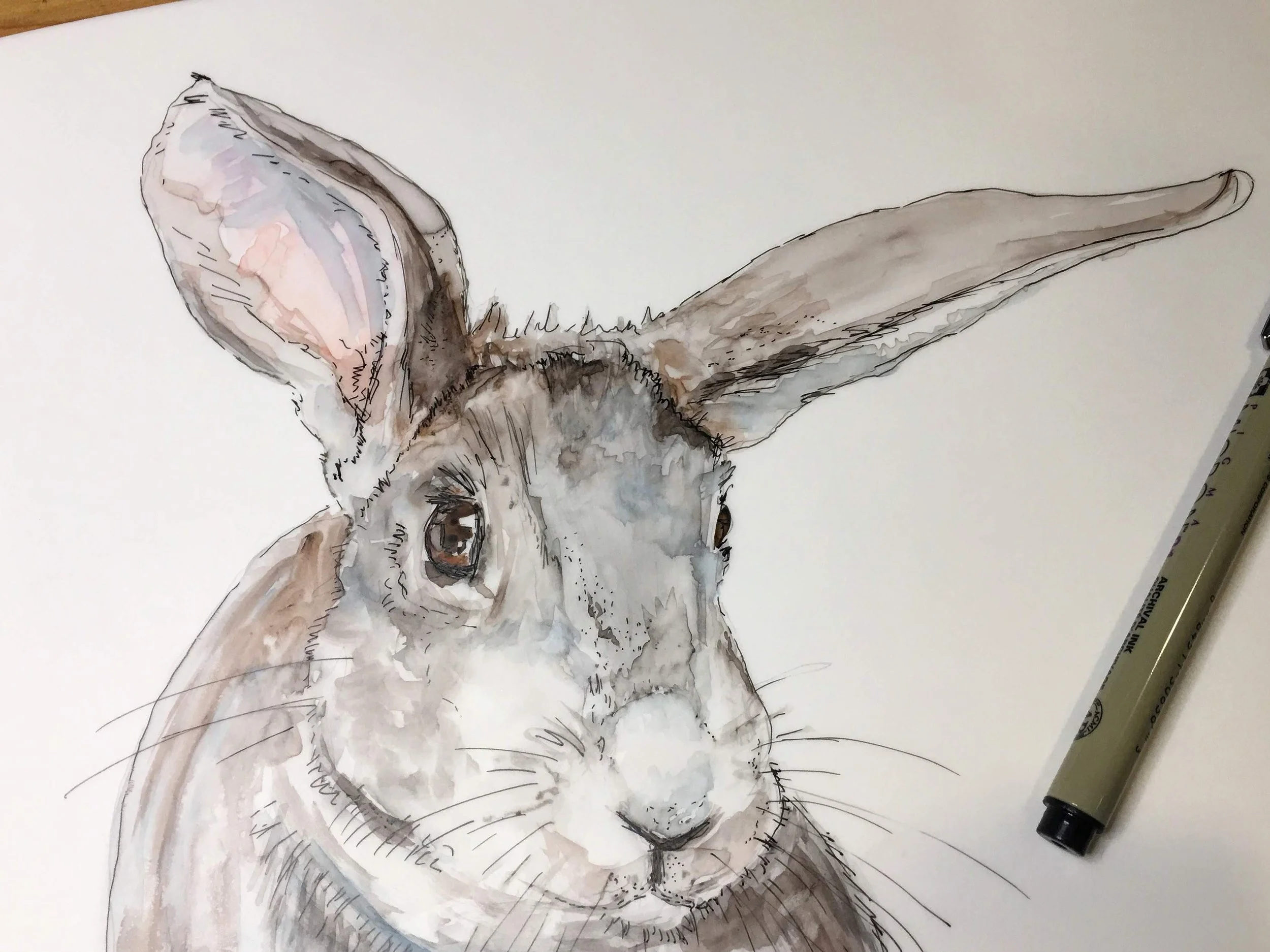 J de Mello e Souza 223720_642.jpg