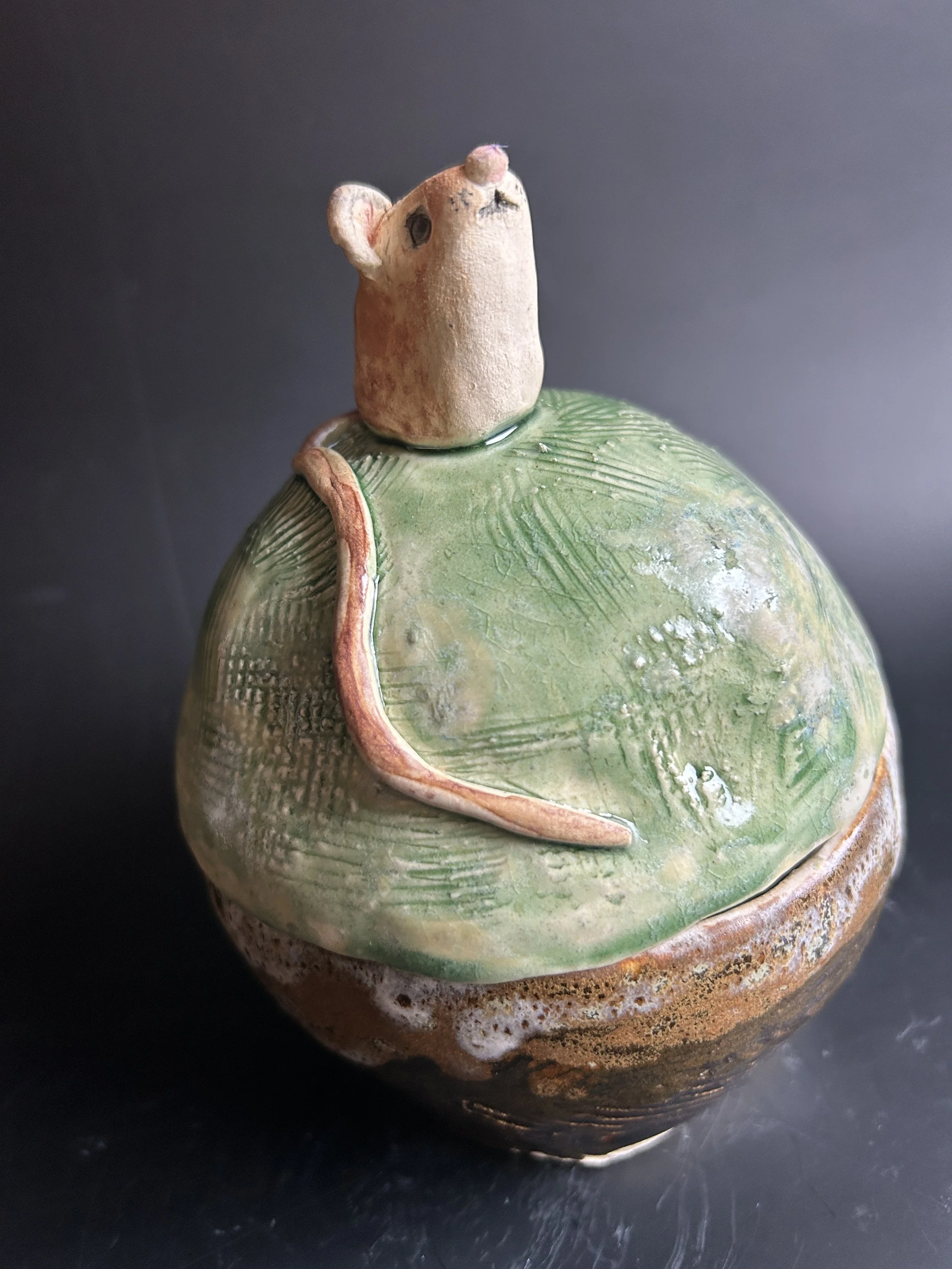 Apodemus sylvaticus Round Jar_JDMS.jpg