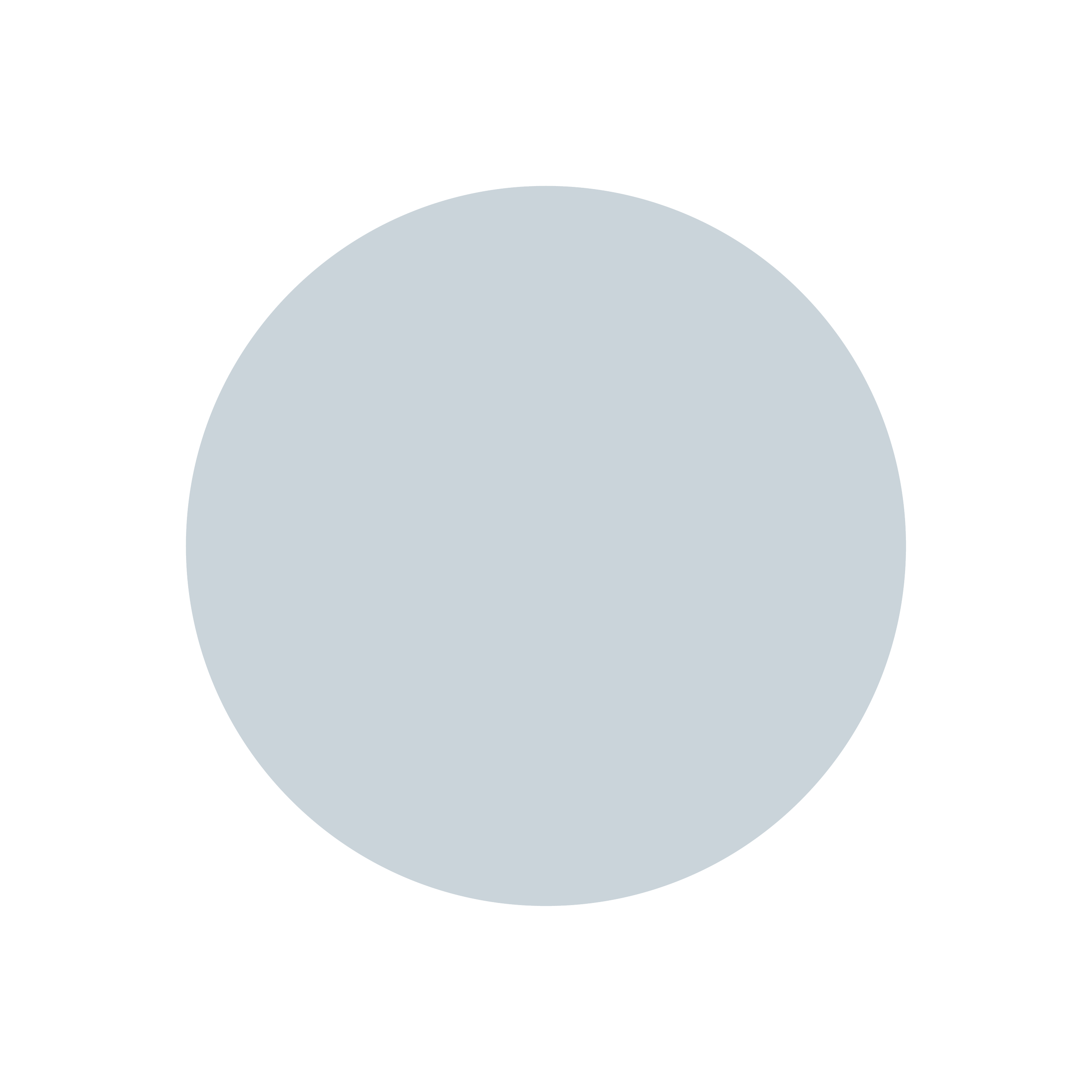 Color Palette-04.png