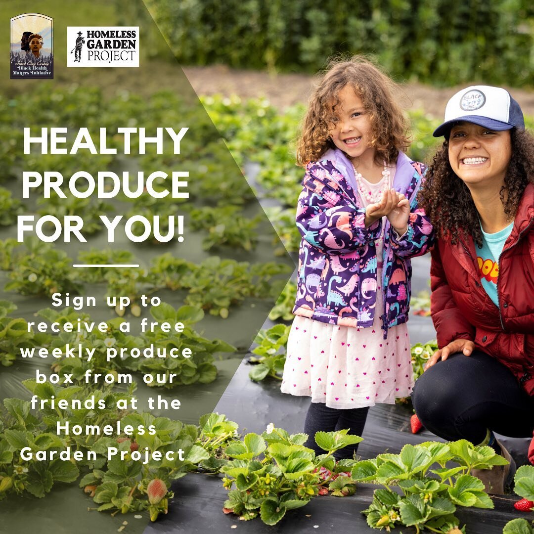 Healthy produce for YOU! 
🍓🥒🥕🥬&hearts;️

BHMI is thrilled to be a recipient of the @homelessgardenproject grant program Feed 2 Birds again this season. 

Through the program we are able to provide 7 FREE bags or shares of produce from the HGP far