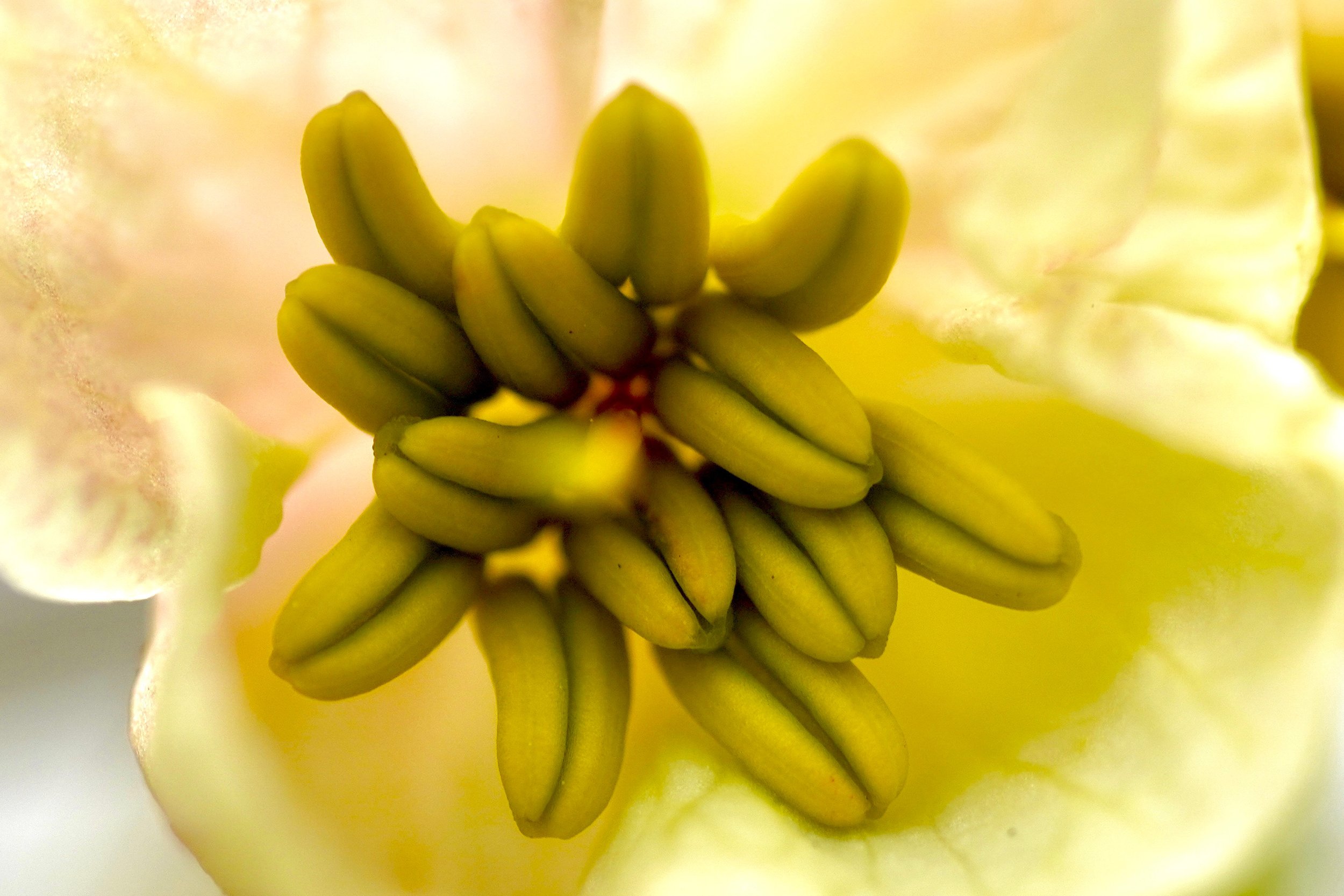 BA721667-5282-49C2-ABD9-258656DDF77D.jpg
