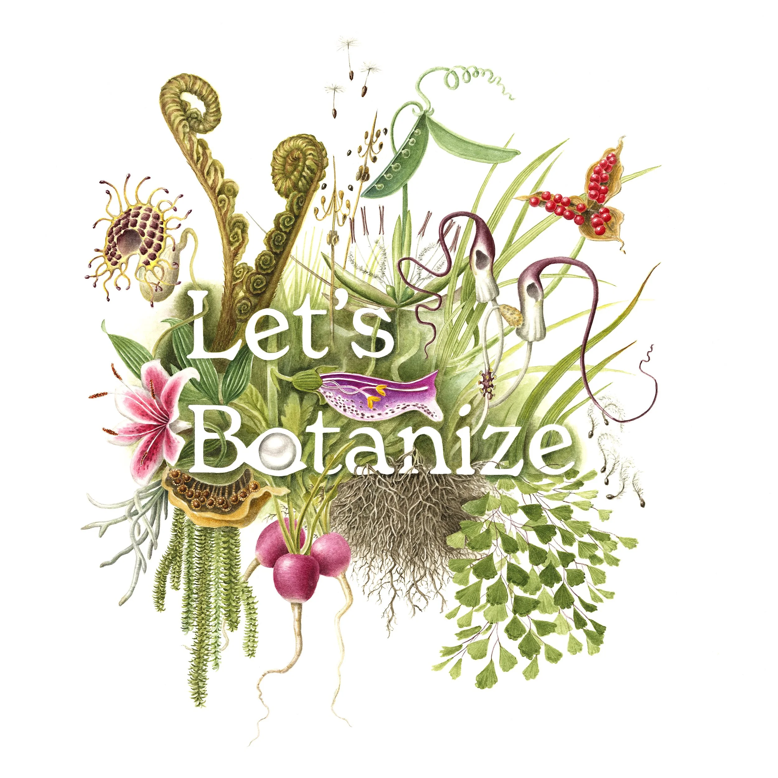 Illustration of various plants and fungi with the text 'Let's Botanize' overlaid.