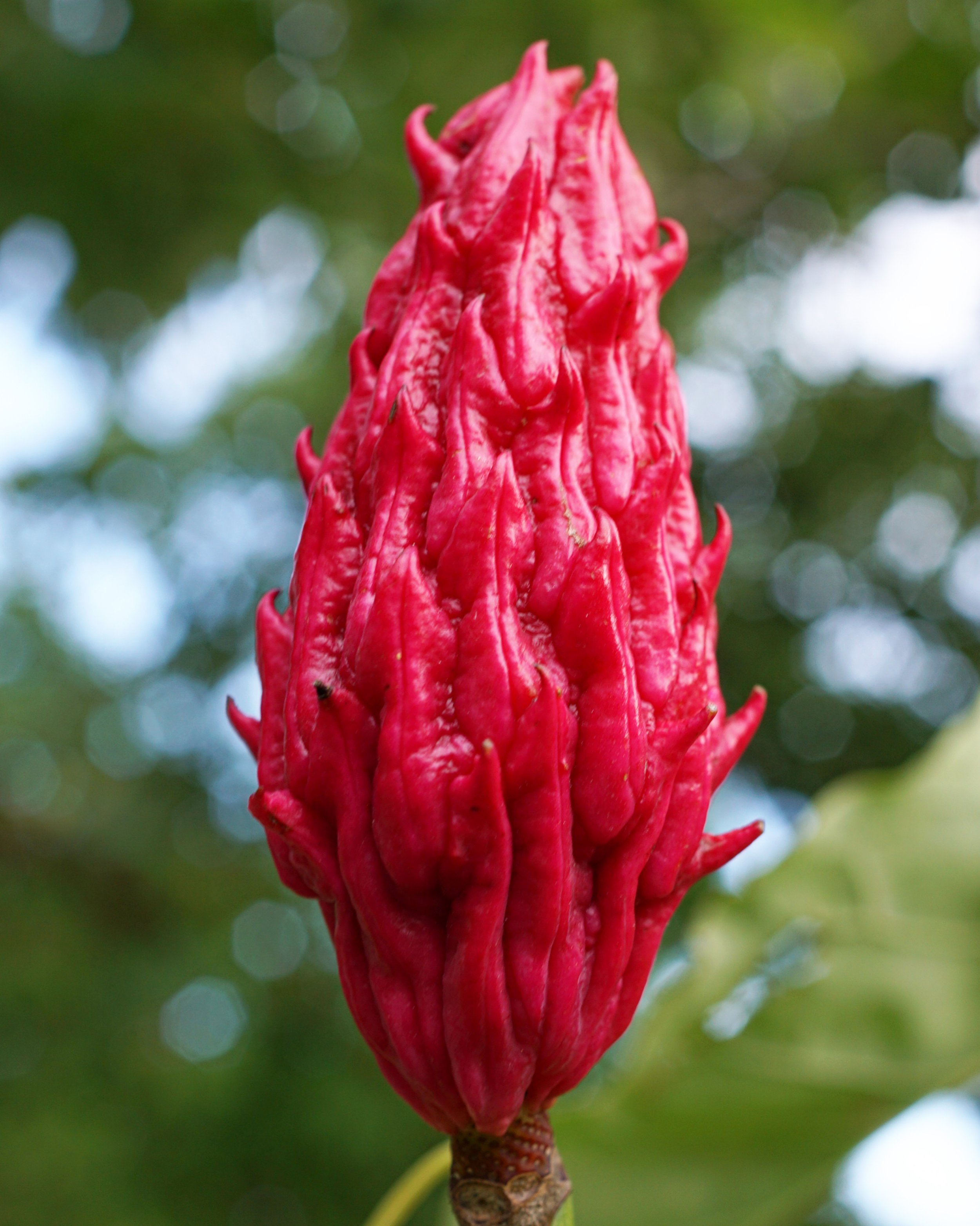 C5D7CEDE-480B-4922-9B56-8490E3C6C6E8.jpg