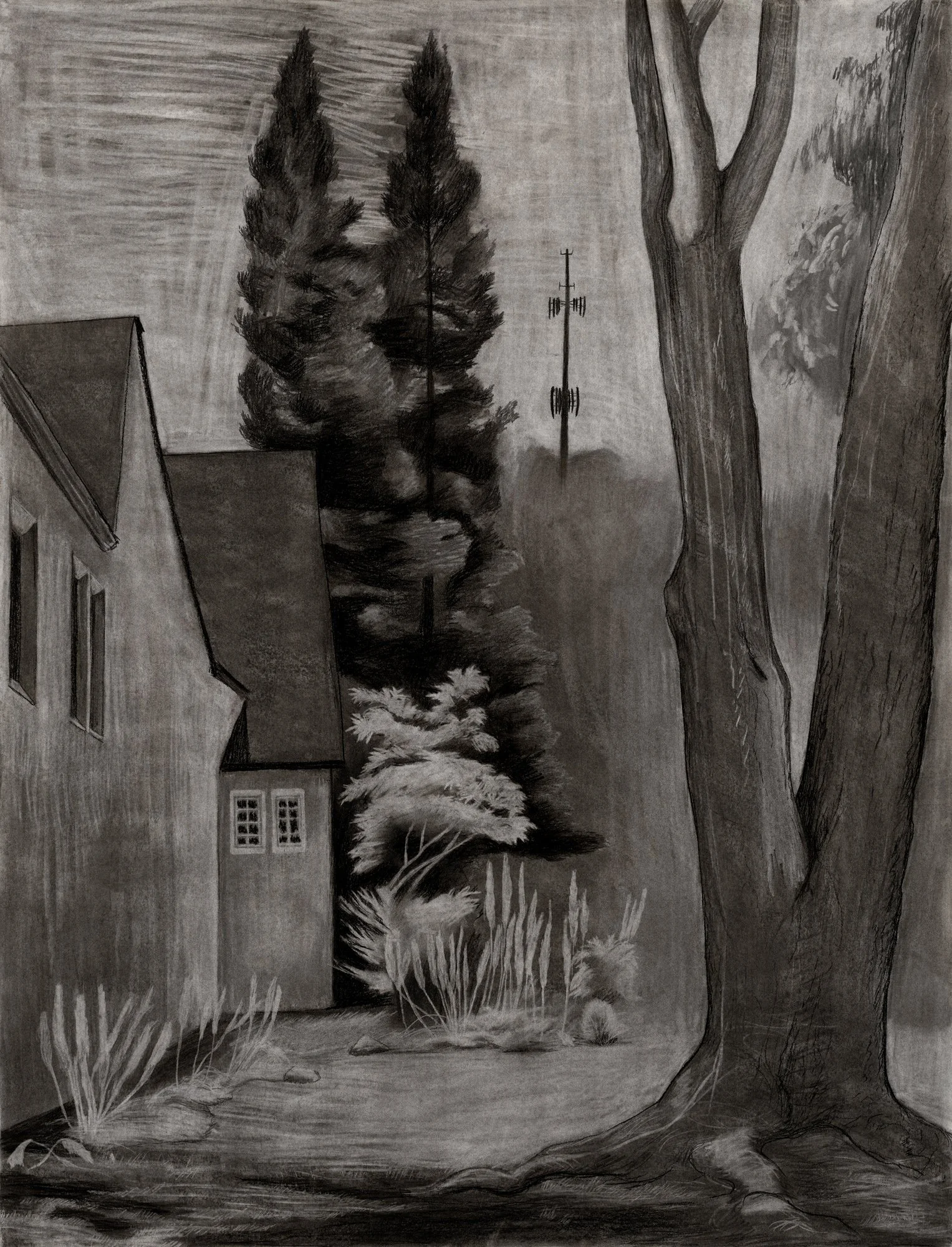 Punitive Measures
2024
Charcoal on paper
46 x 35.25 inches