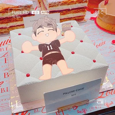 Adara Lui_2021_pillow cake.jpg