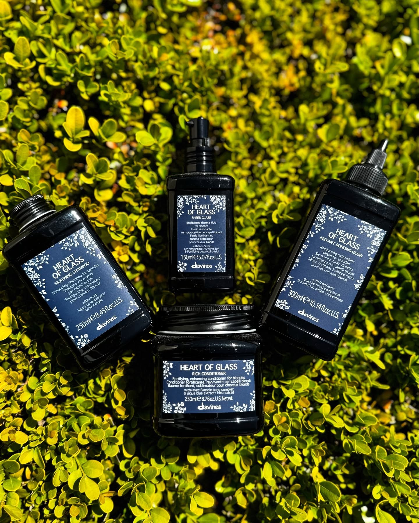 Blonde care that&rsquo;s as strong as it is beautiful.
The Heart of Glass line by Davines is a must for keeping blondes bright, healthy, and hydrated&mdash;without the brass or breakage.
Your tone, your strength, your shine&mdash;protected. 

#HeartO