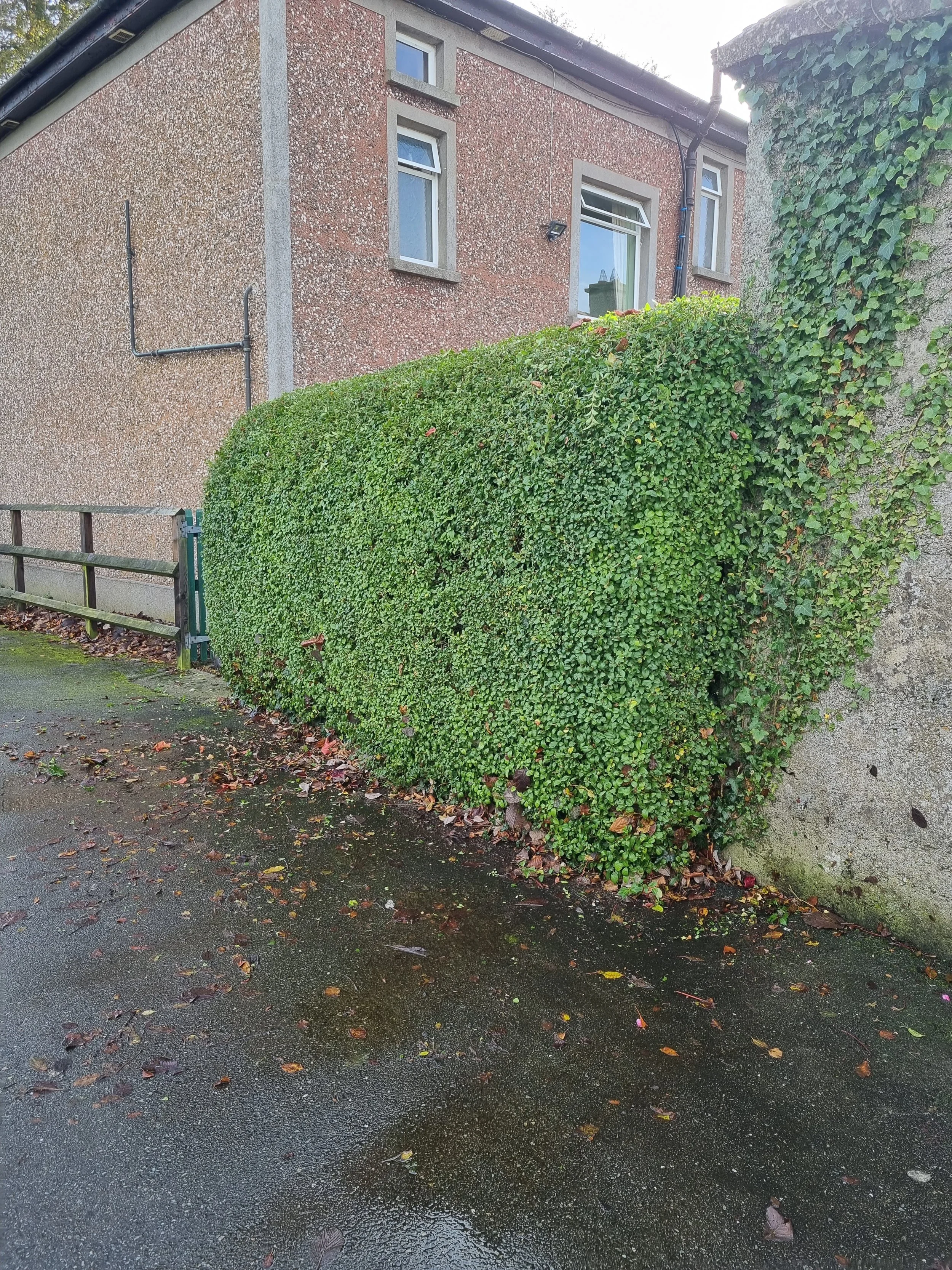 20221101_123457.jpg