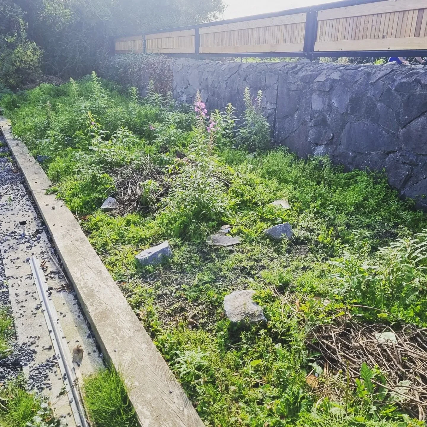 These flower beds got some much needed TLC. Weeding and mulch replacement for one and removal of top layer of soil, plastic laid and 4 tone of donegal golden quartz.