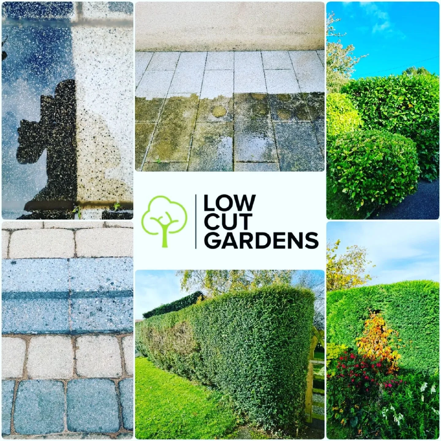 Winter Special is now on! 
⭐️15% off Hedge Trimming ⭐️
⭐️15% off powerwashing and surface cleaning ⭐️