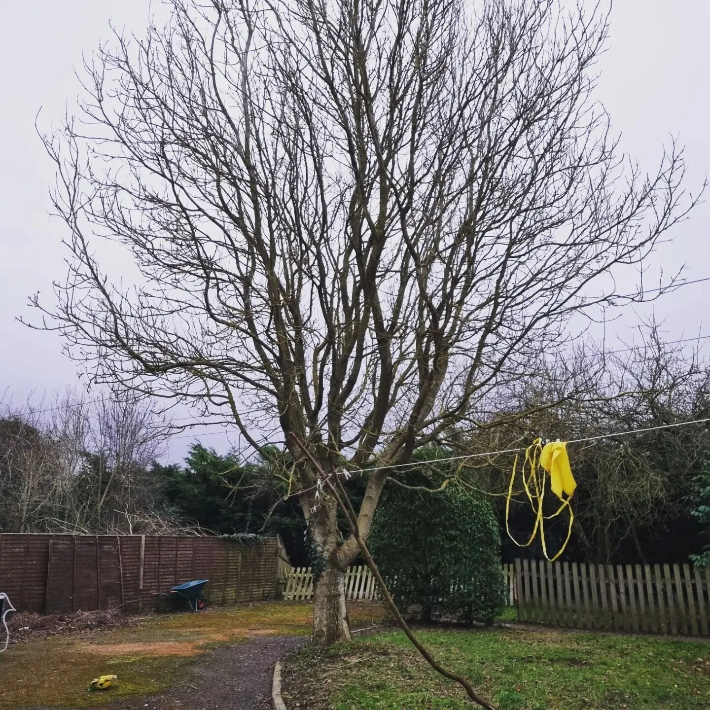 A big clearance job completed last week.
