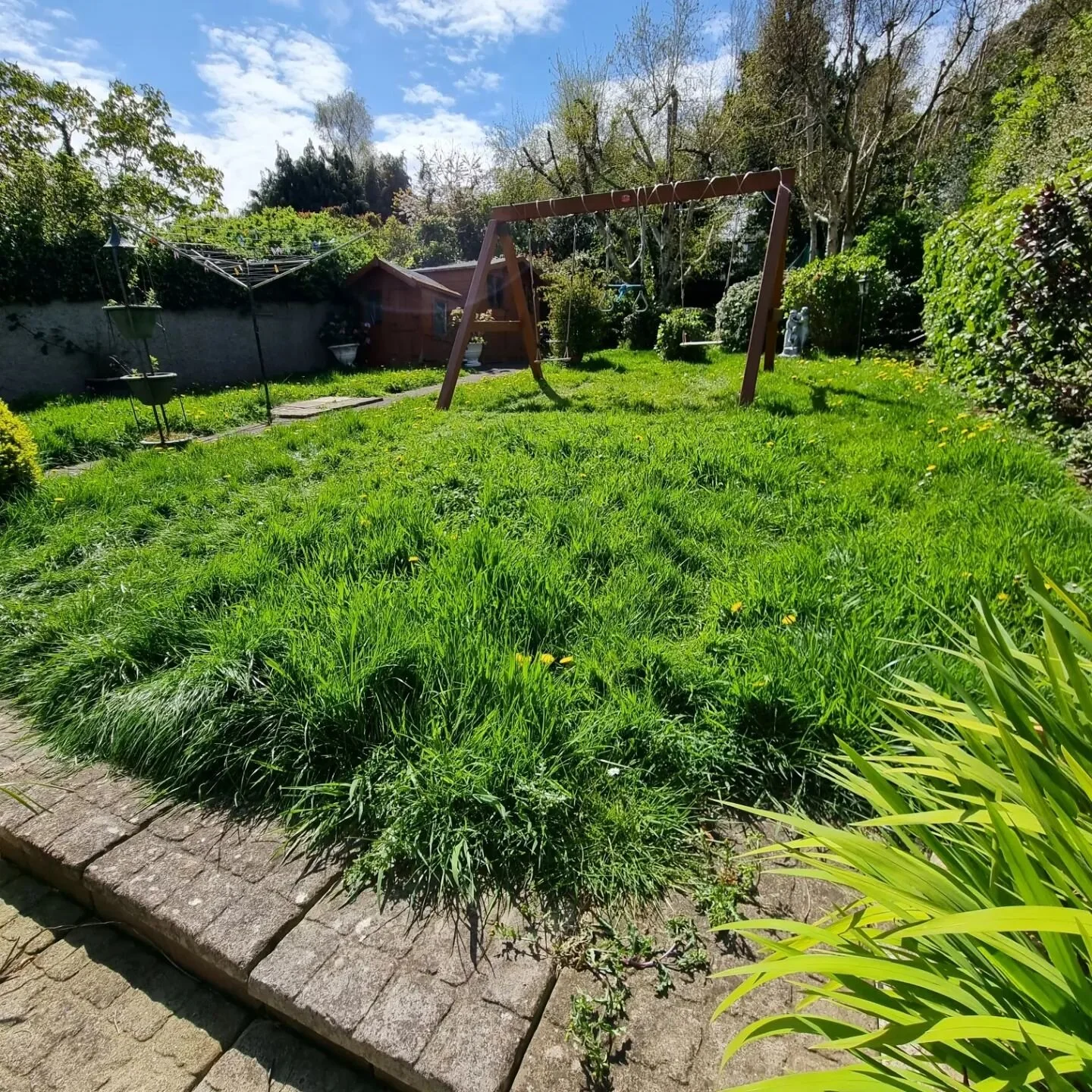 Another over grown lawn cut back into shape.