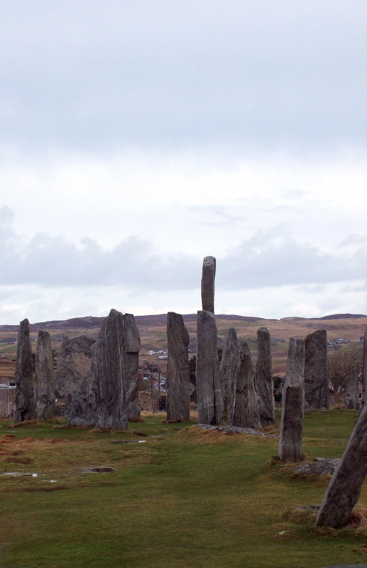 Stornoway Isle Of Lewis Harris Tweed - Pop London