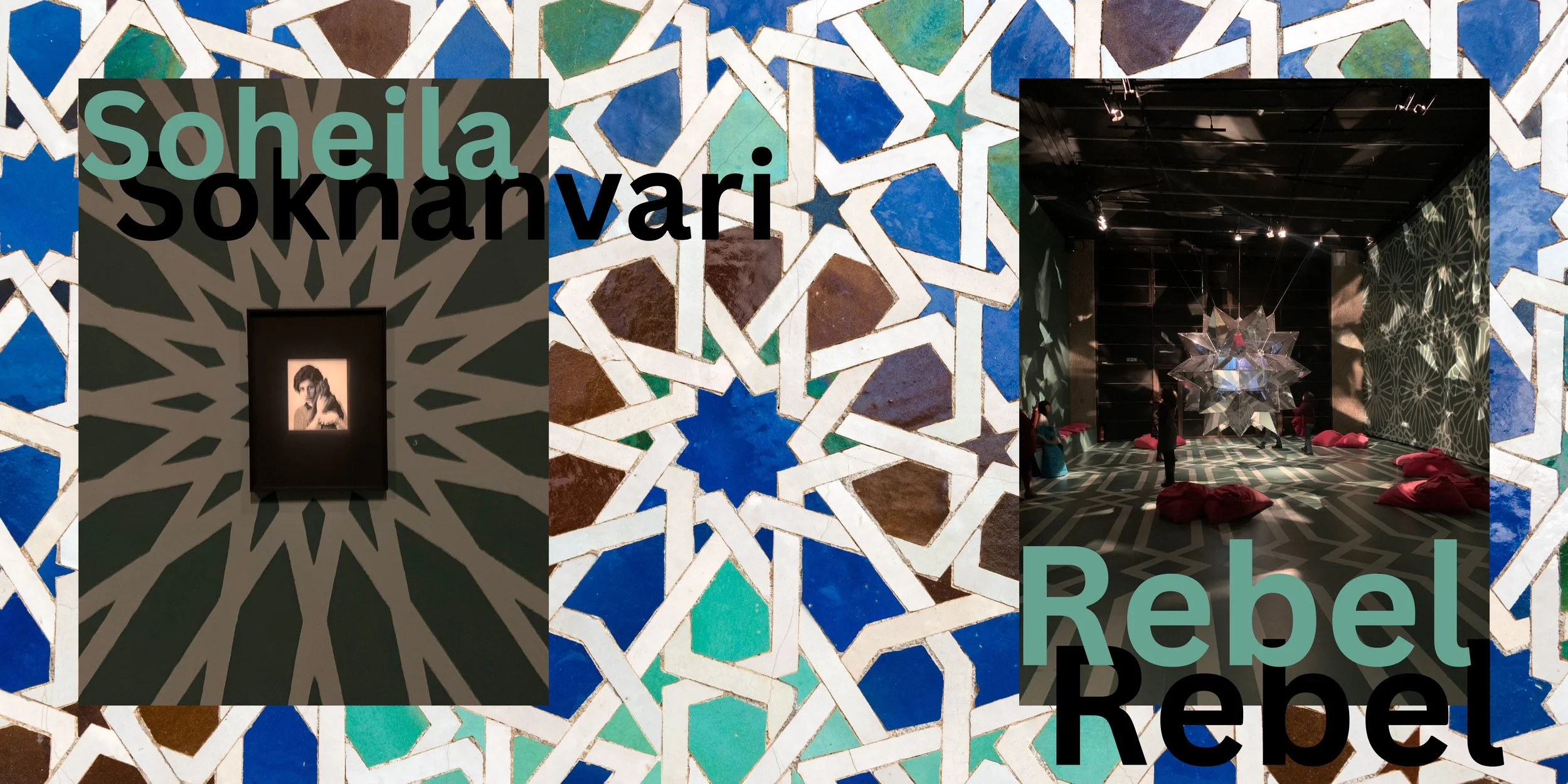 Barbican Soheila Sokhanvari1.jpg
