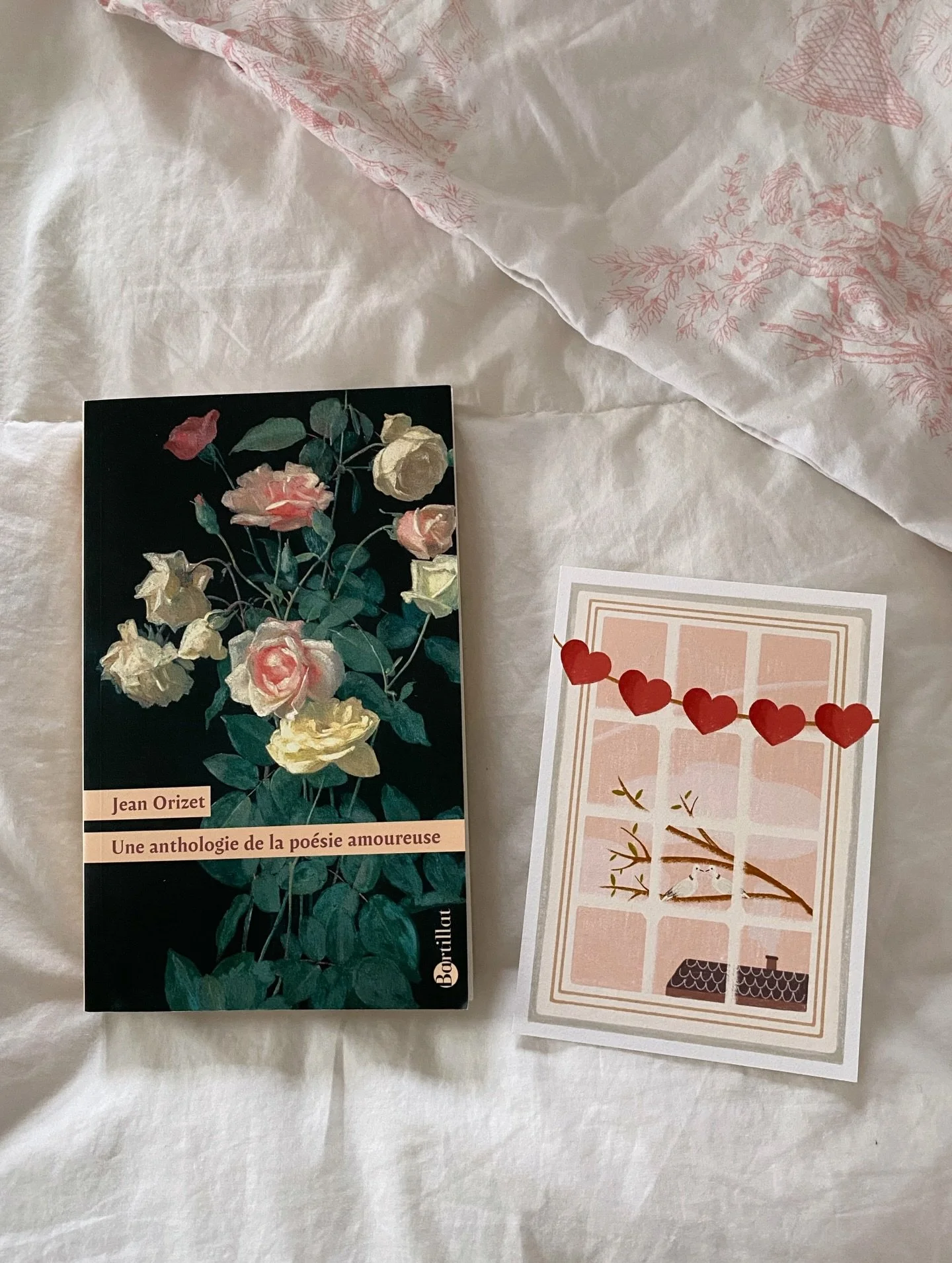 Humeur de la semaine 🌷🩷

1. H&acirc;te de commencer ce recueil offert par mes parents pour mon anniversaire 

Et ma carte qui va bien avec la p&eacute;riode de la Saint-Valentin qui arrive 🕊️🪟

2. Les jolis petits d&eacute;tails 🦢🪷

3. La tisan