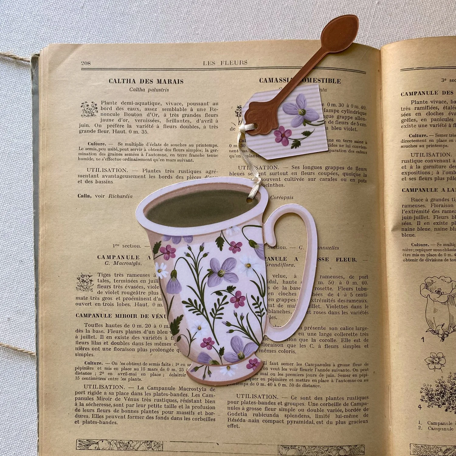 Marque-page - Tasse Cardamine des prés
