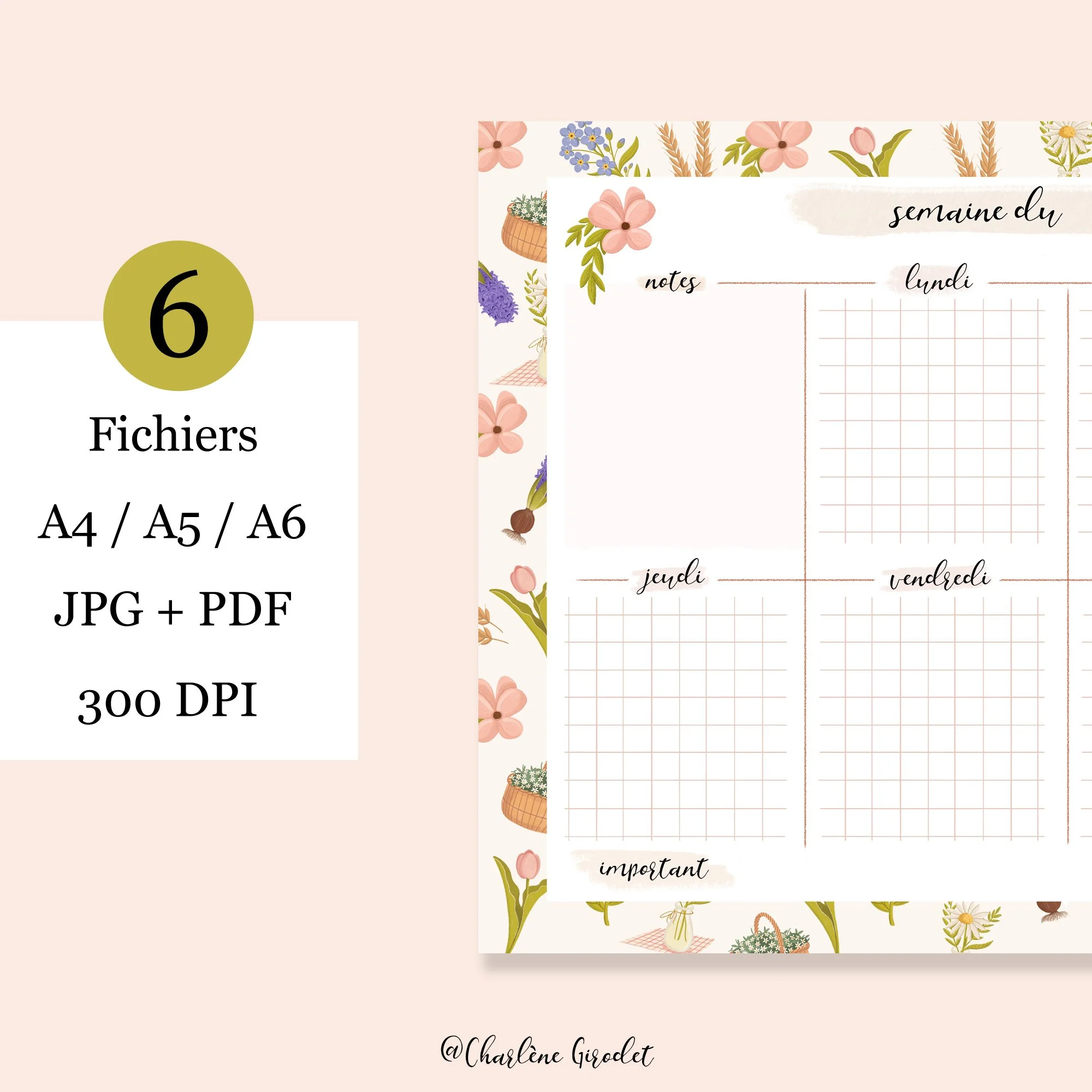 Fiches_Produits_SEMAINIER_Nourriture10.jpg