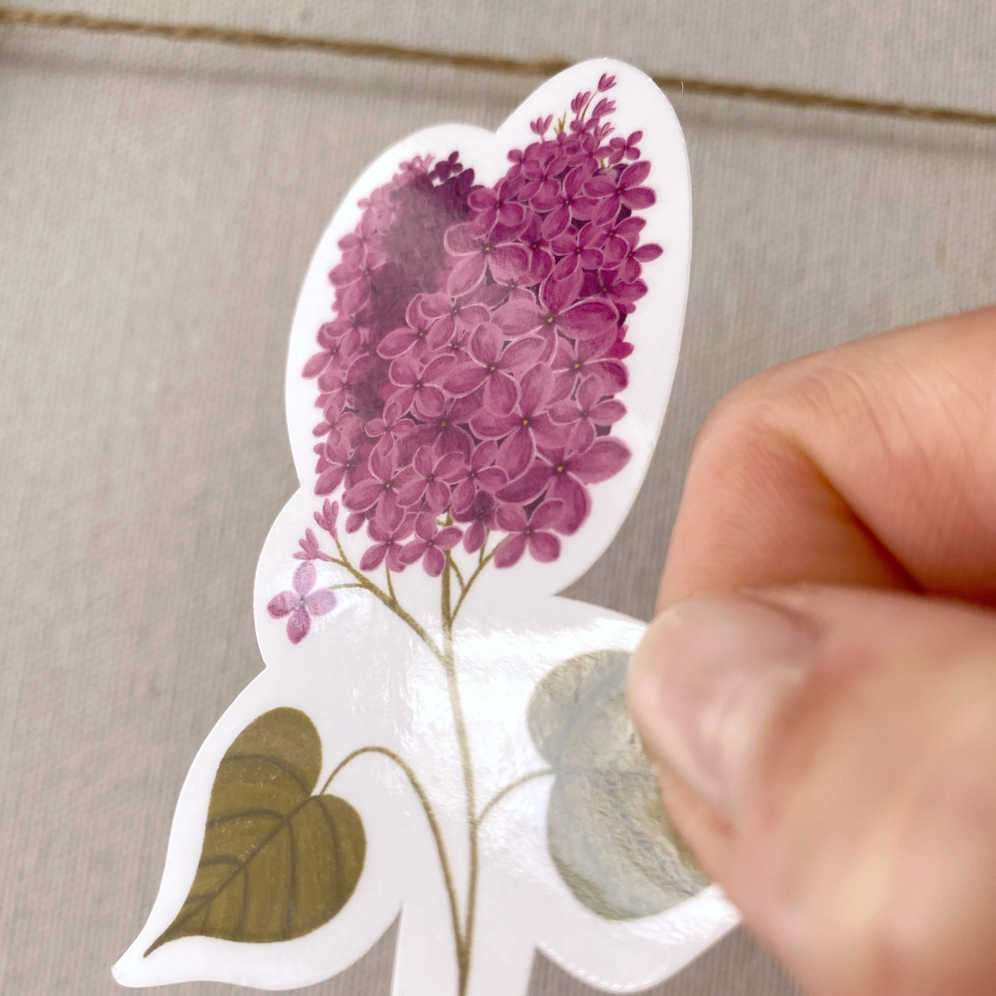 FicheProduit_Sticker_Lilas02.jpg