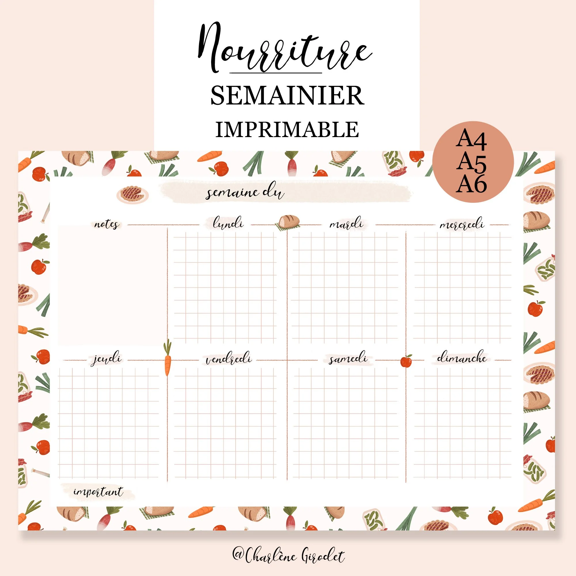 Fiches_Produits_SEMAINIER_Nourriture09.jpg