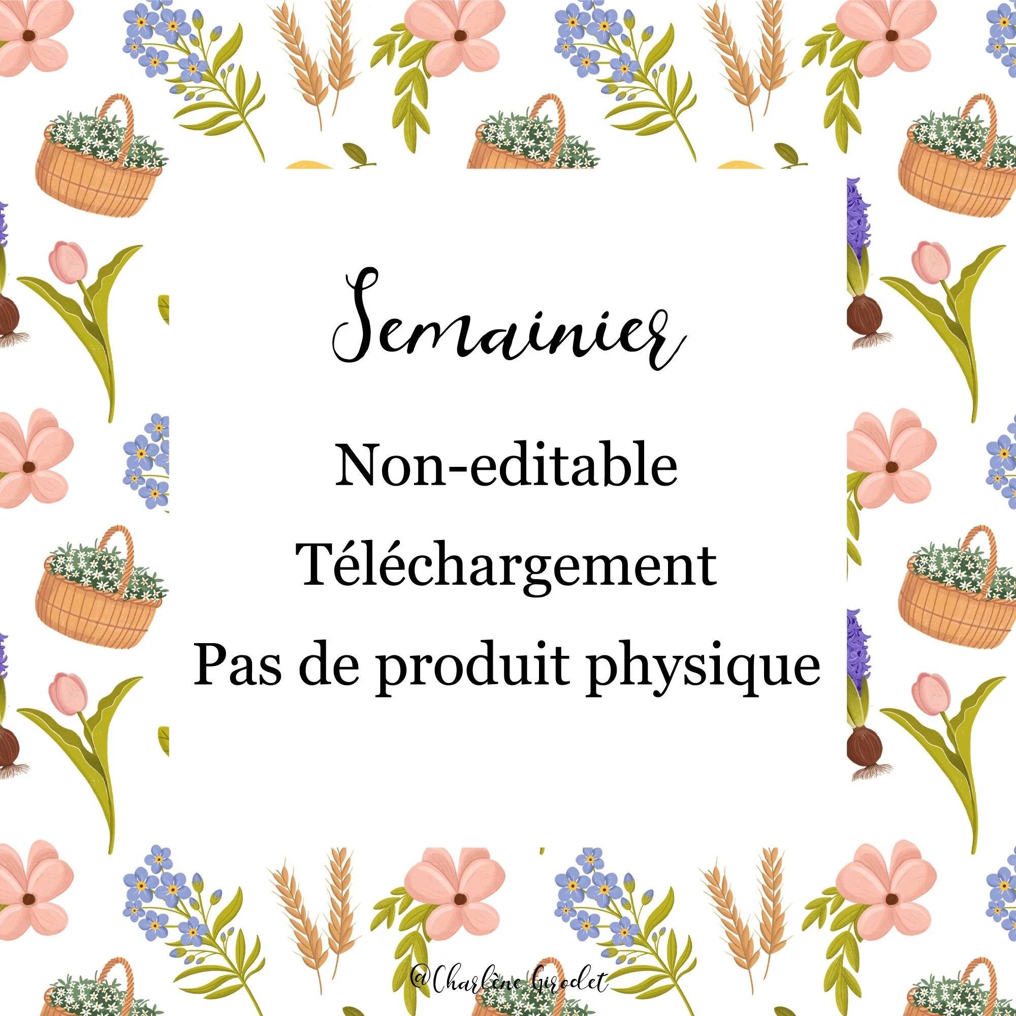 Fiches_Produits_SEMAINIER_Fleurs09.jpg