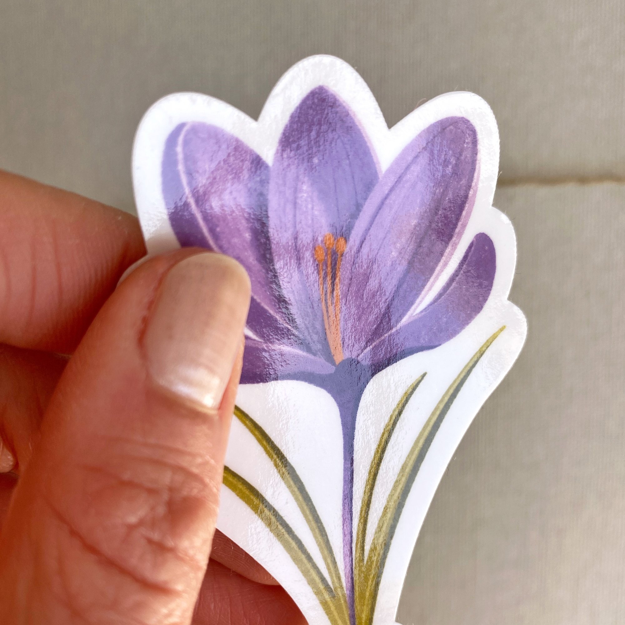 FicheProduit_Sticker_Crocus_01.jpg