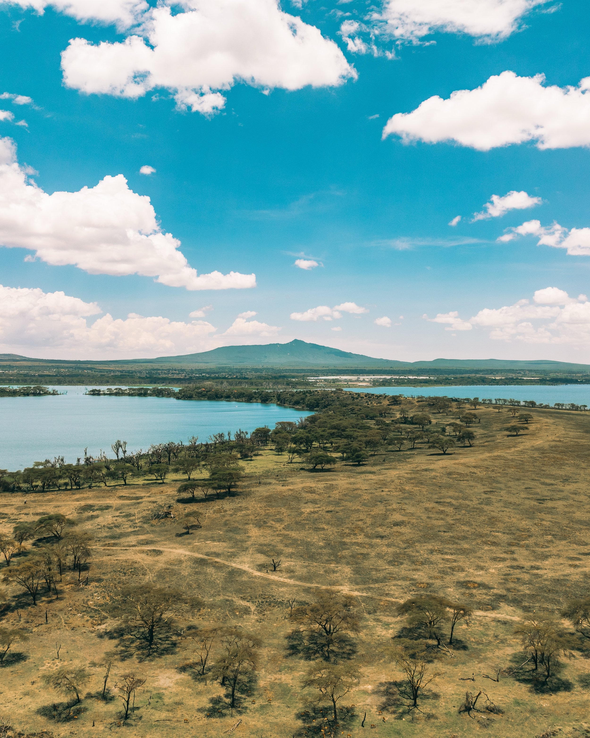 Elevating the perspective entirely changes how a landscape speaks. From above, the curved shoreline of Crescent Island and the deep turquoise expanse of Lake Naivasha transform into clean geometry, anchored by the silent silhouette of Mount Longonot 