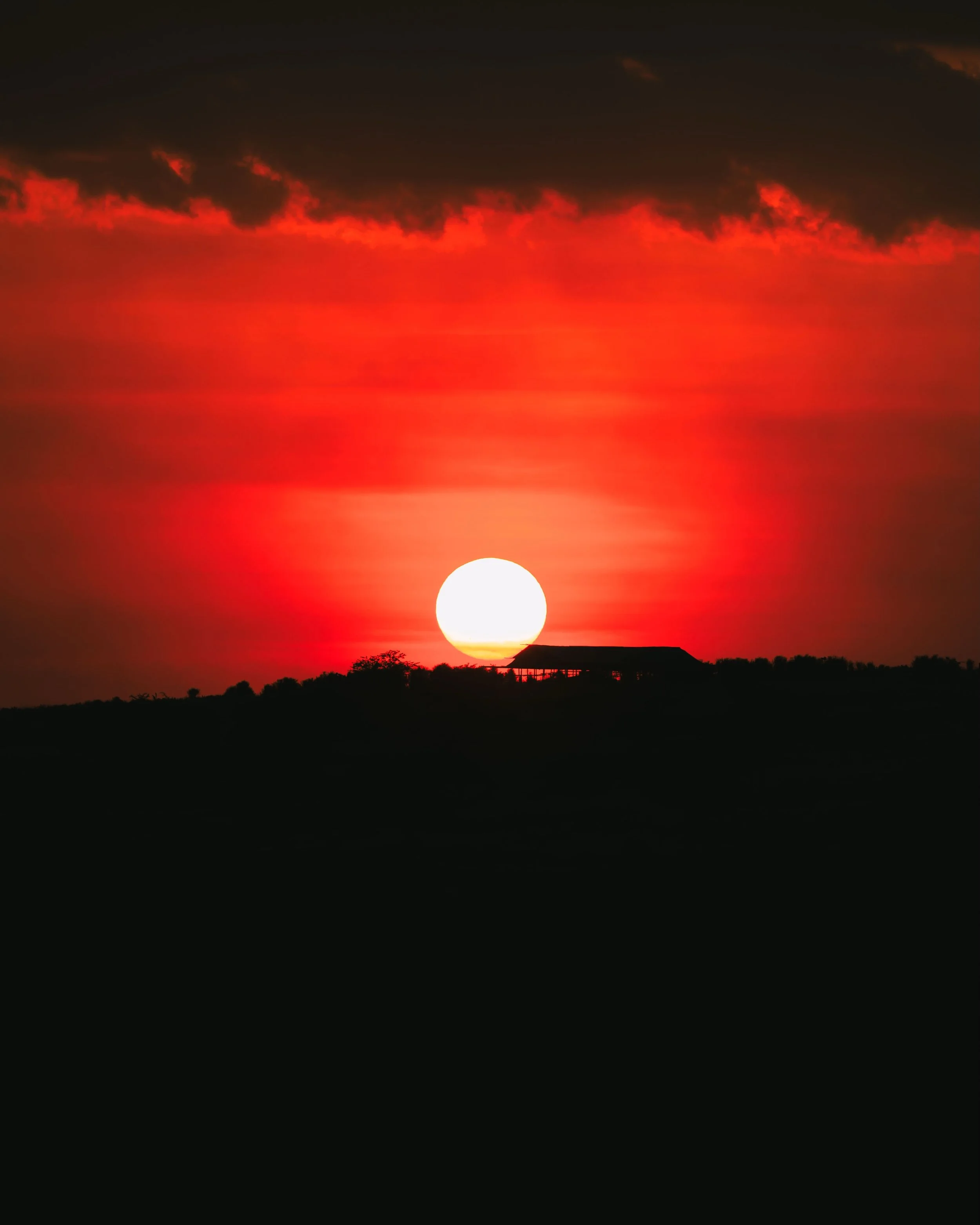 One sun goes down over Akagera. A billion come up.
Red bleeding into pink into that last grey fold of hills &mdash; and then the switch, from the light that shapes the land to the light that only reveals how small we&rsquo;re standing in it. Two tent