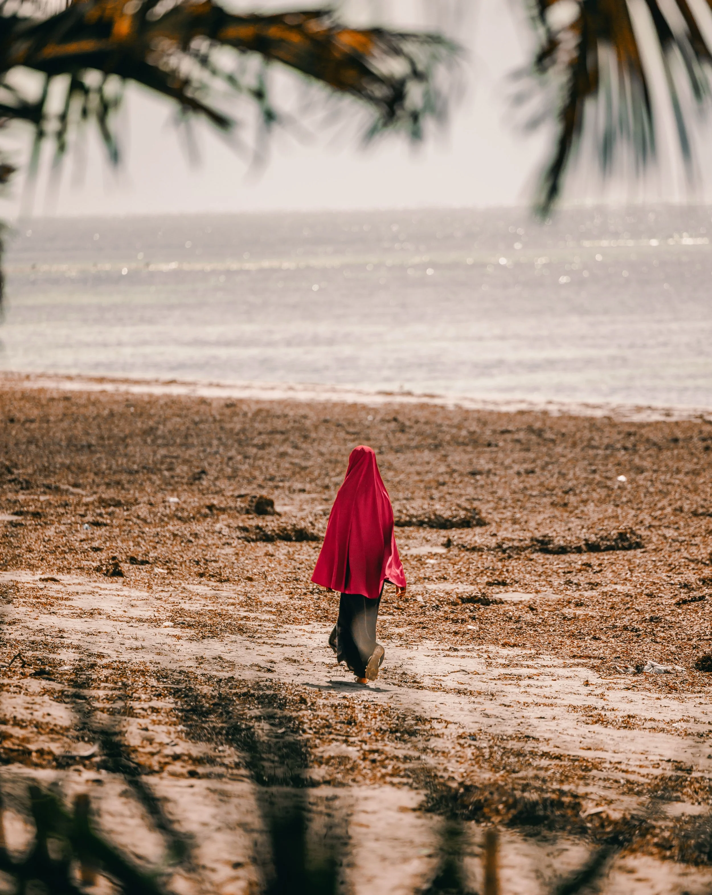 The tide had gone out at Msambweni, and the shoreline was busy.

A woman in red under the palms, not slowing. A man poling a skiff over water the colour of a field. A boy up the mast, the sail painted by hand with marlin and dorado &mdash; a working 