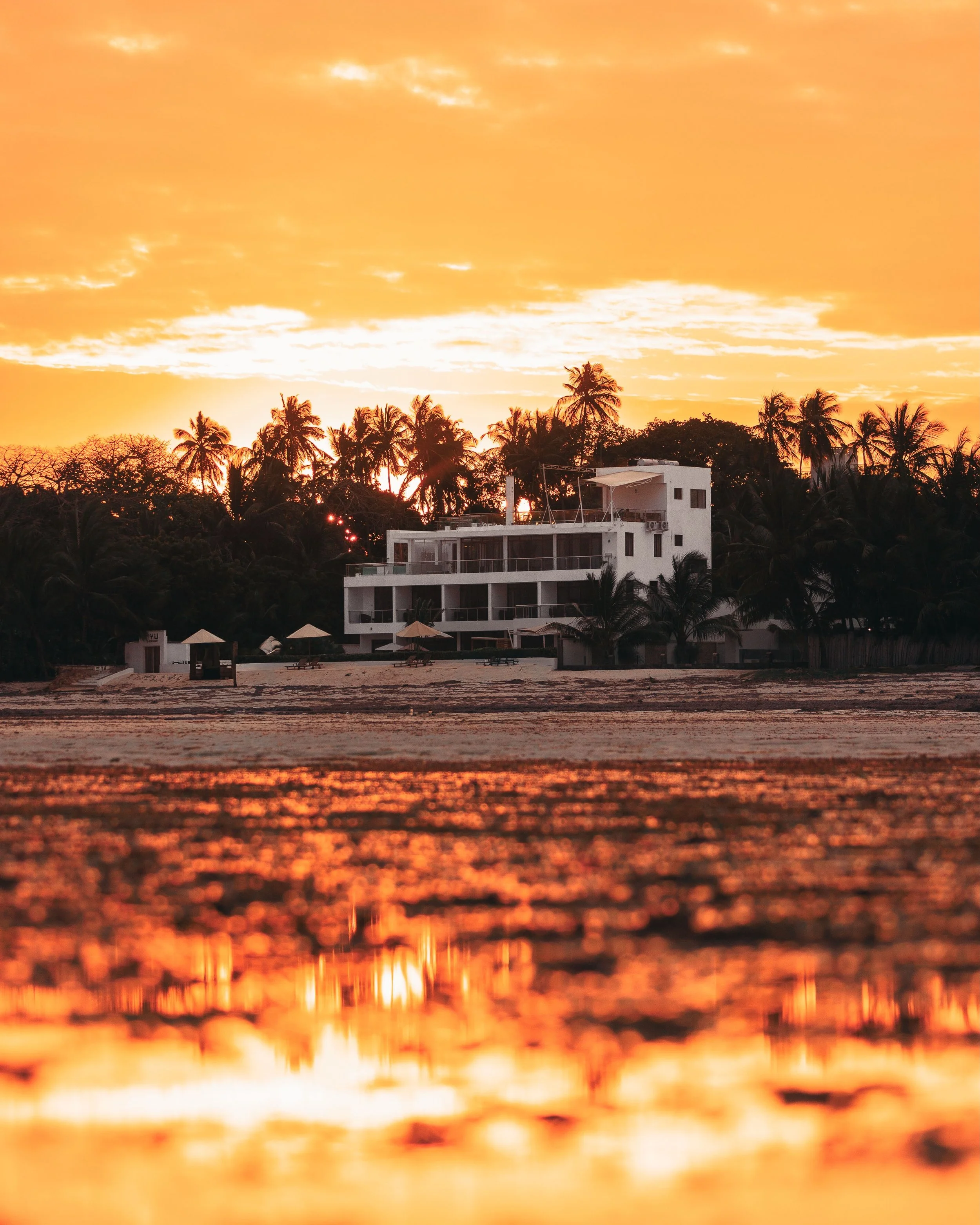 Where the Tide Holds the Light

Tangerine sky behind white walls and palm crowns, the whole building burning again in the pools the tide left behind, an egret opening its wings across the flats, then morning &mdash; cool blue, sandbanks curling to th