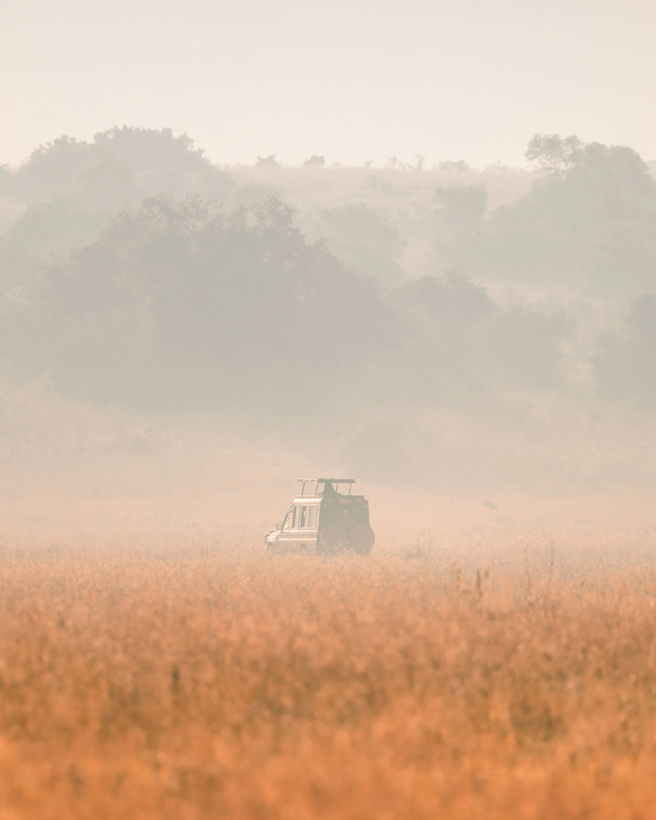 The Long Way Round

A lone cruiser parked deep in pale morning mist, the bush dissolving behind it &mdash; the moment before anything happens. A family of elephants walking away into open plain, a balloon hanging small in the washed-out sky. Grass ru