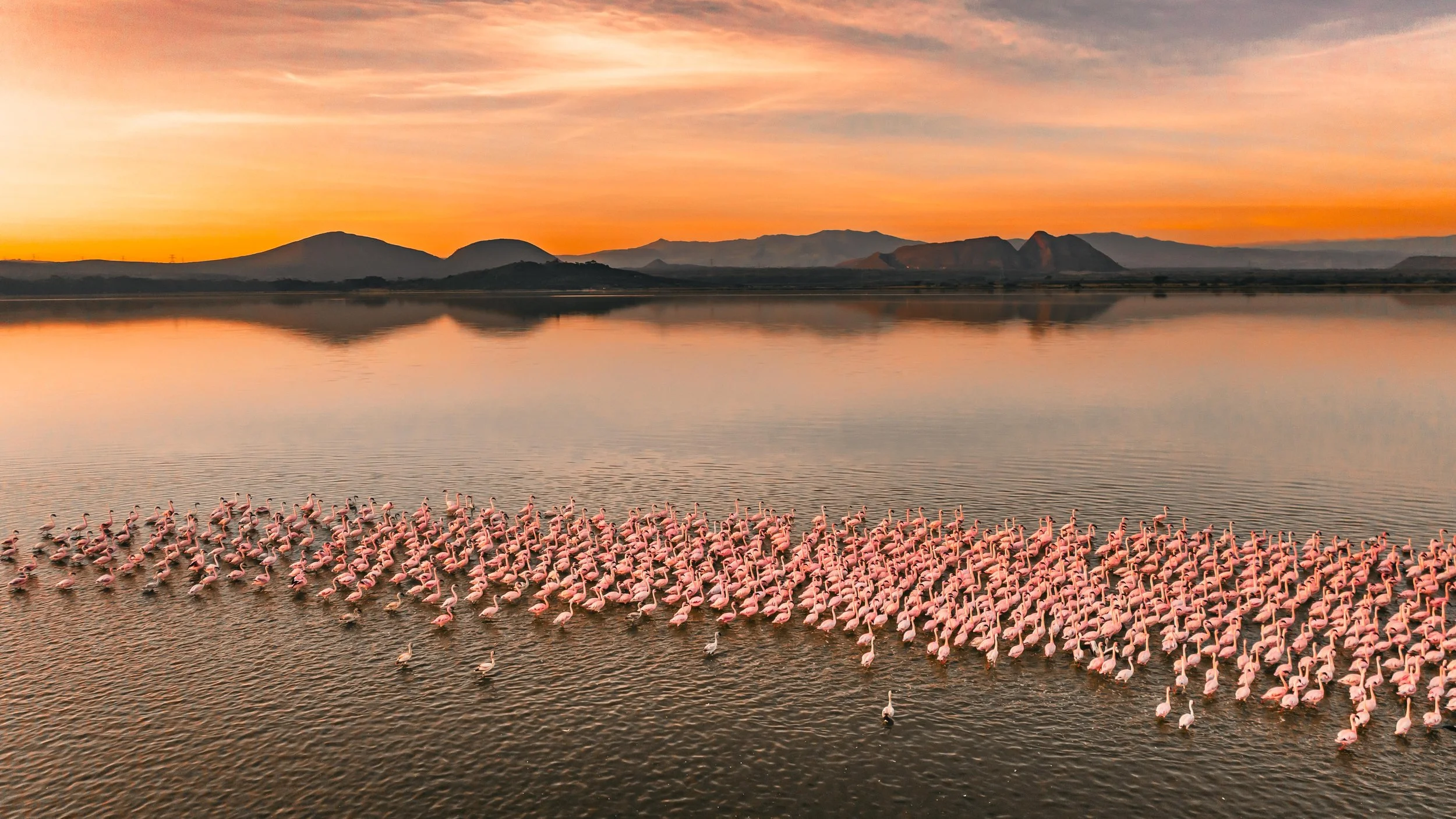 DJI_0799.jpg