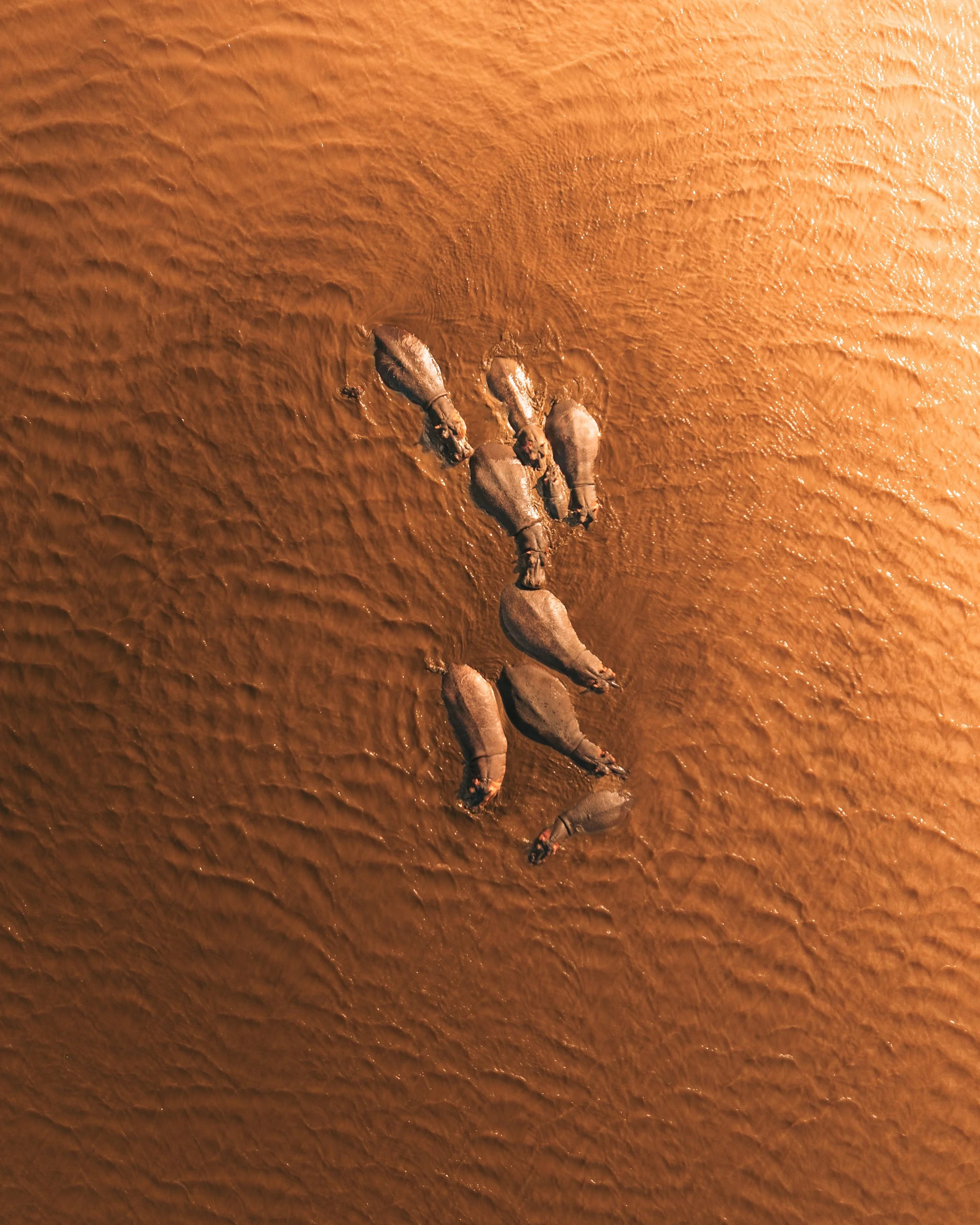 Aerial view of a person walking through orange-colored mud or sand on a beach or desert.