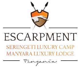 A stylized logo with a fox face wearing sunglasses, with text promoting a scouting or scouting-related event or organization.