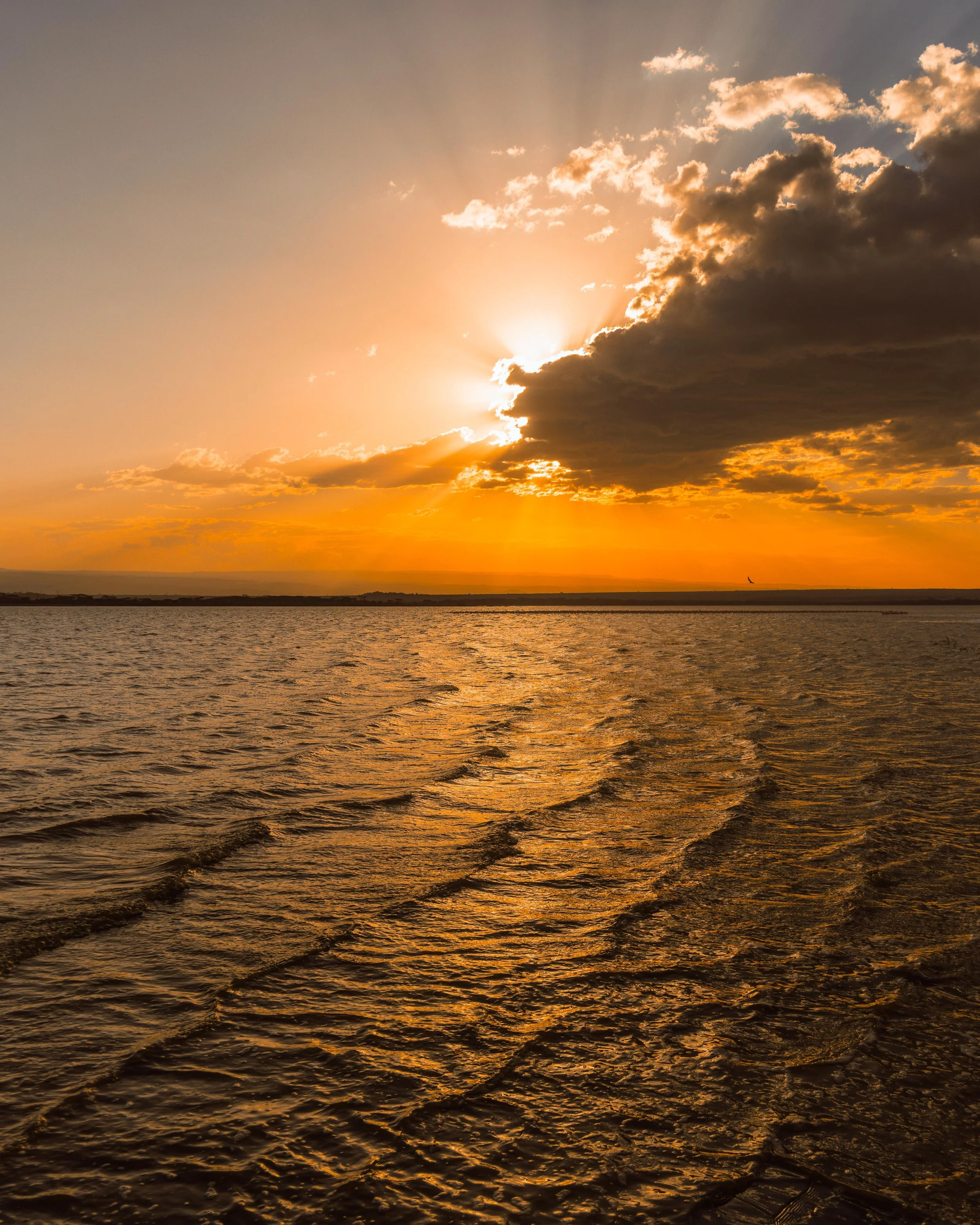 Sunset over a body of water with clouds partially covering the sun and a distant shoreline, with a bird flying in the sky.