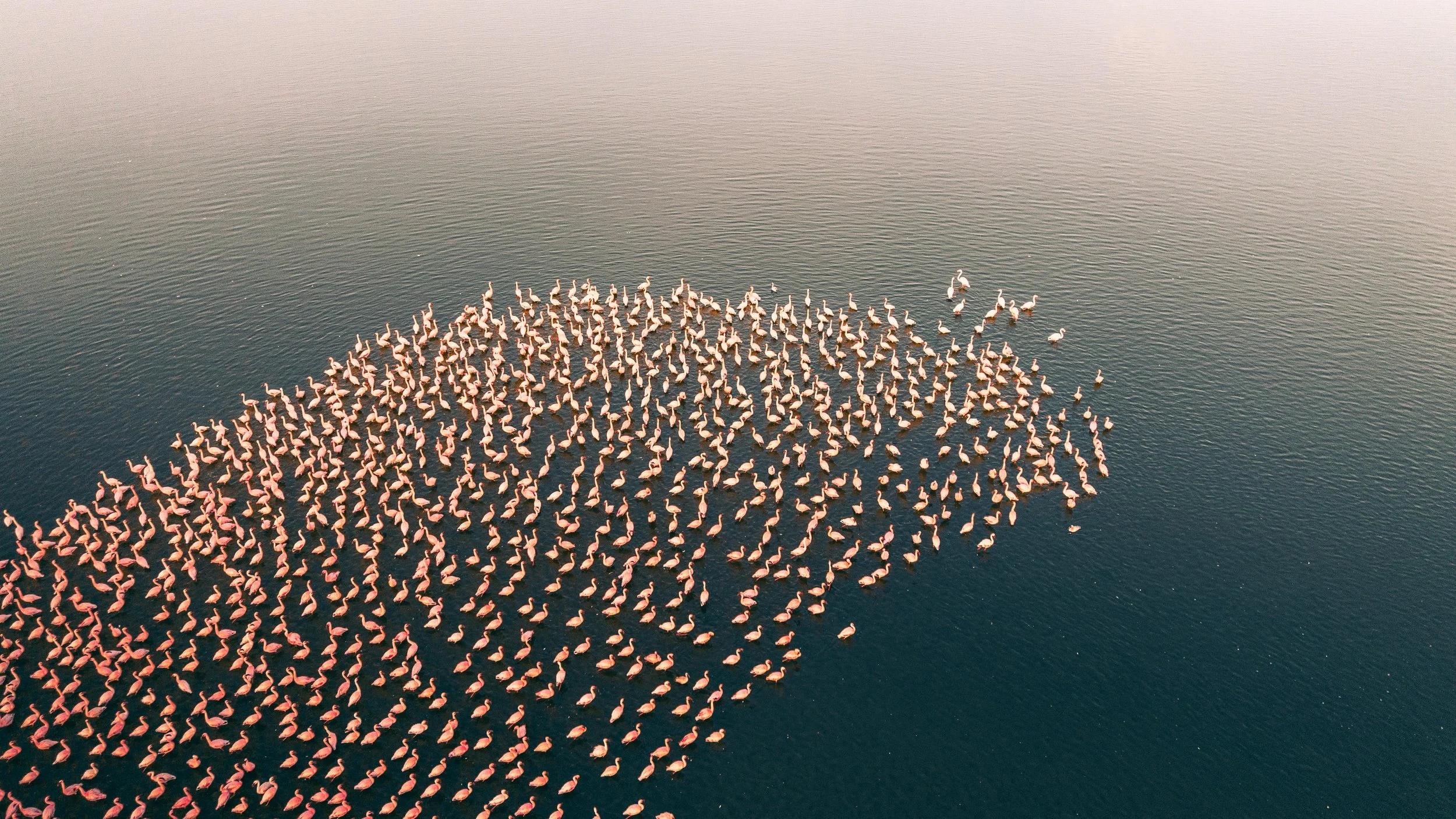 DJI_0801-3.jpg