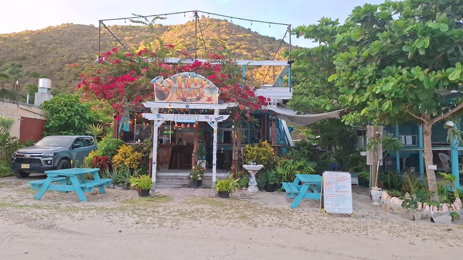 Beachside bar named Tipsy Shark with pink flowering tree, blue picnic tables, green trees, a car, plants, and a mountain in the background.