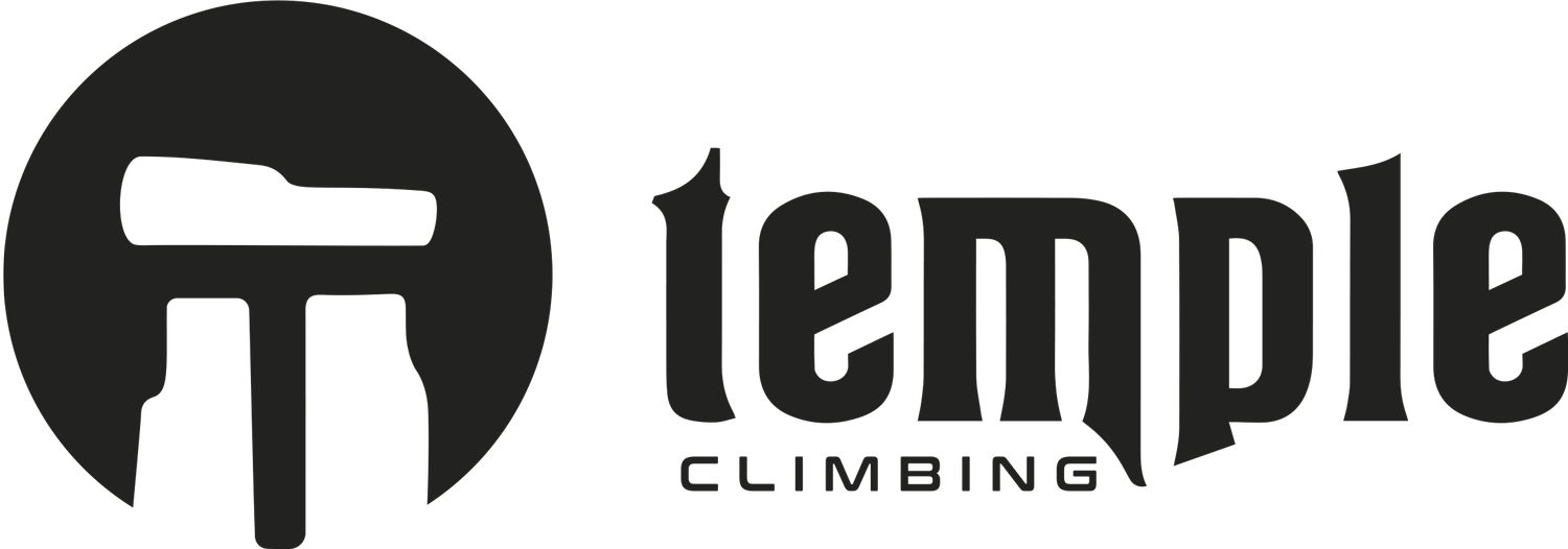 Temple Climbing Holds