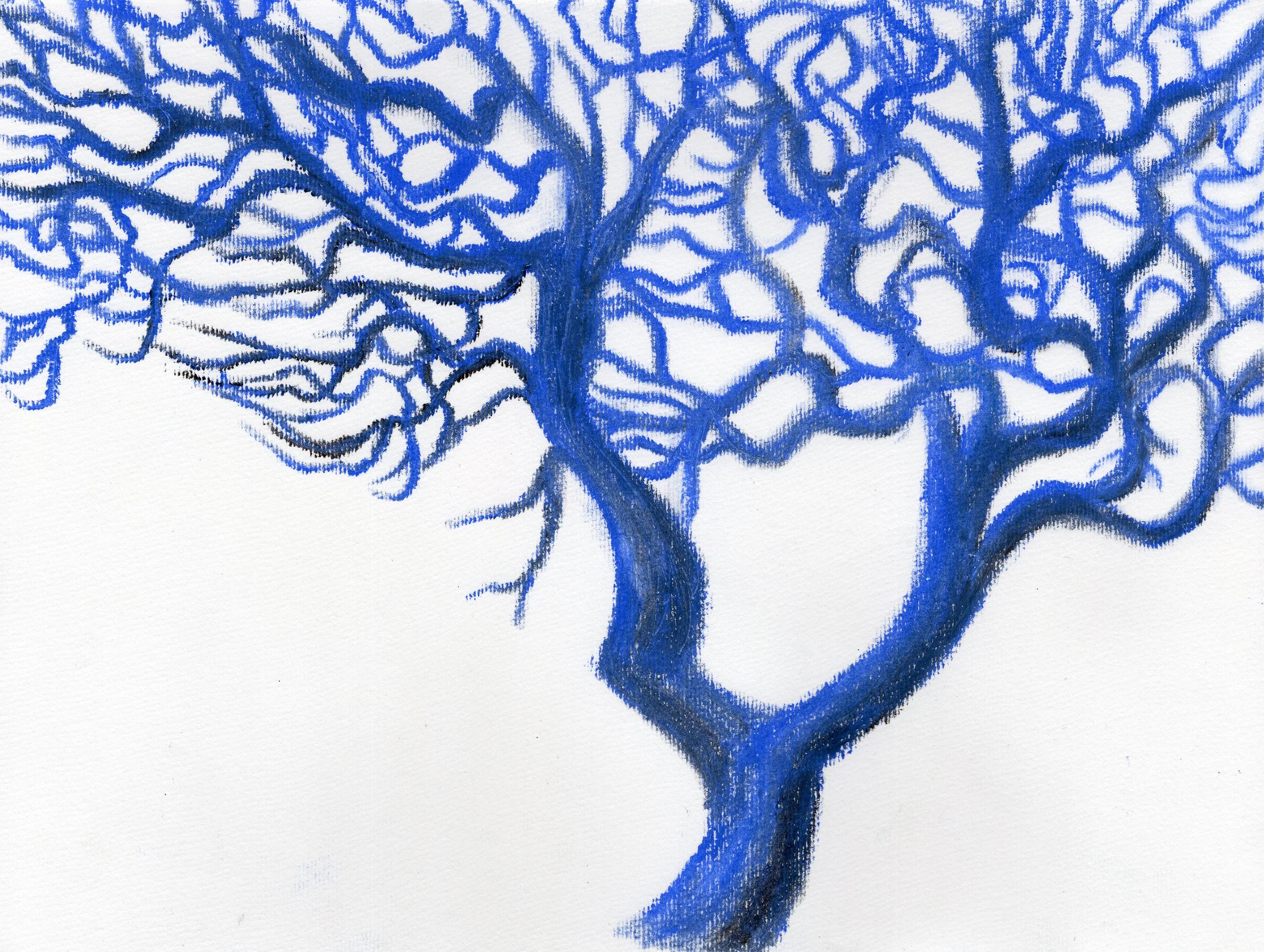 WinterTree_2.jpg