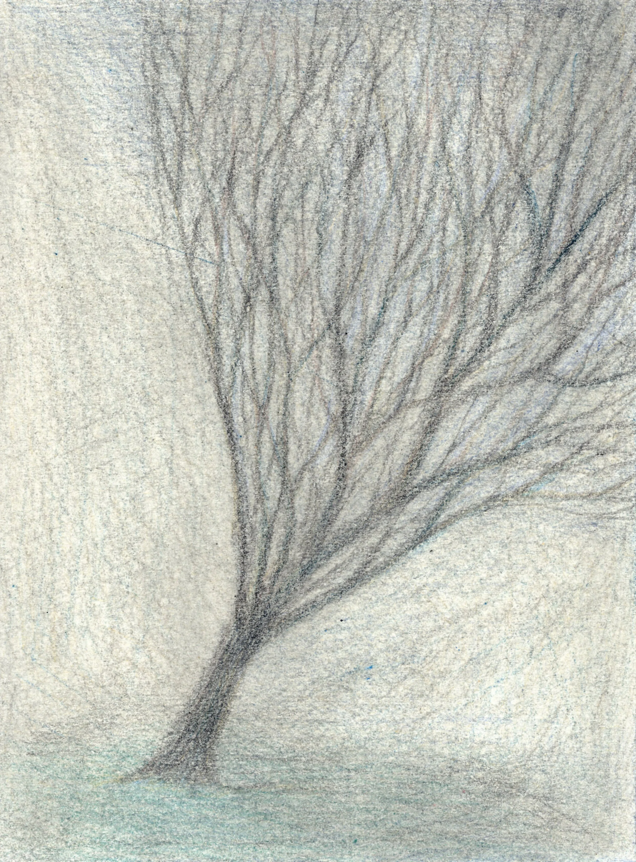 WinterTree_6.jpg