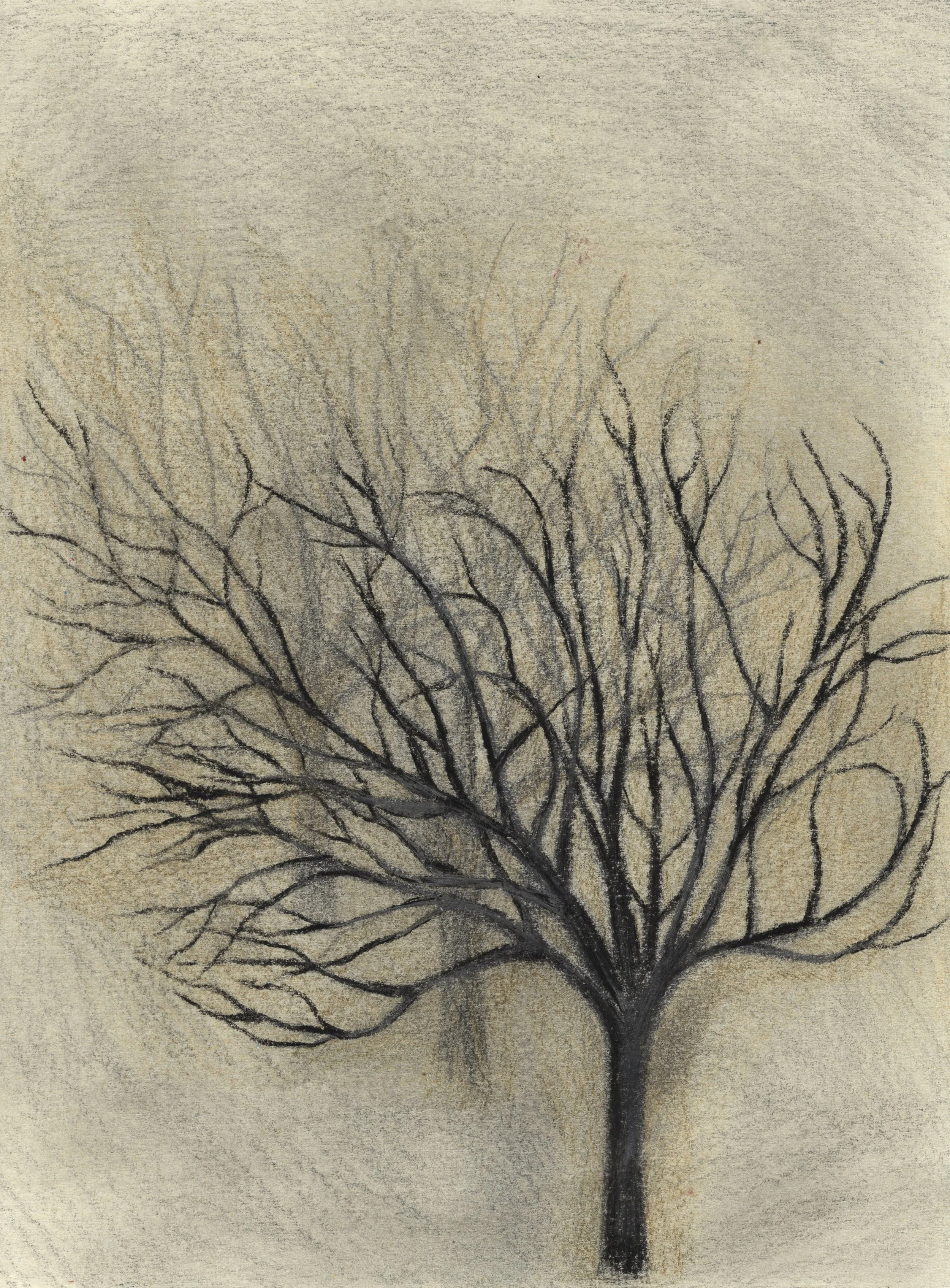 WinterTree_10.jpg