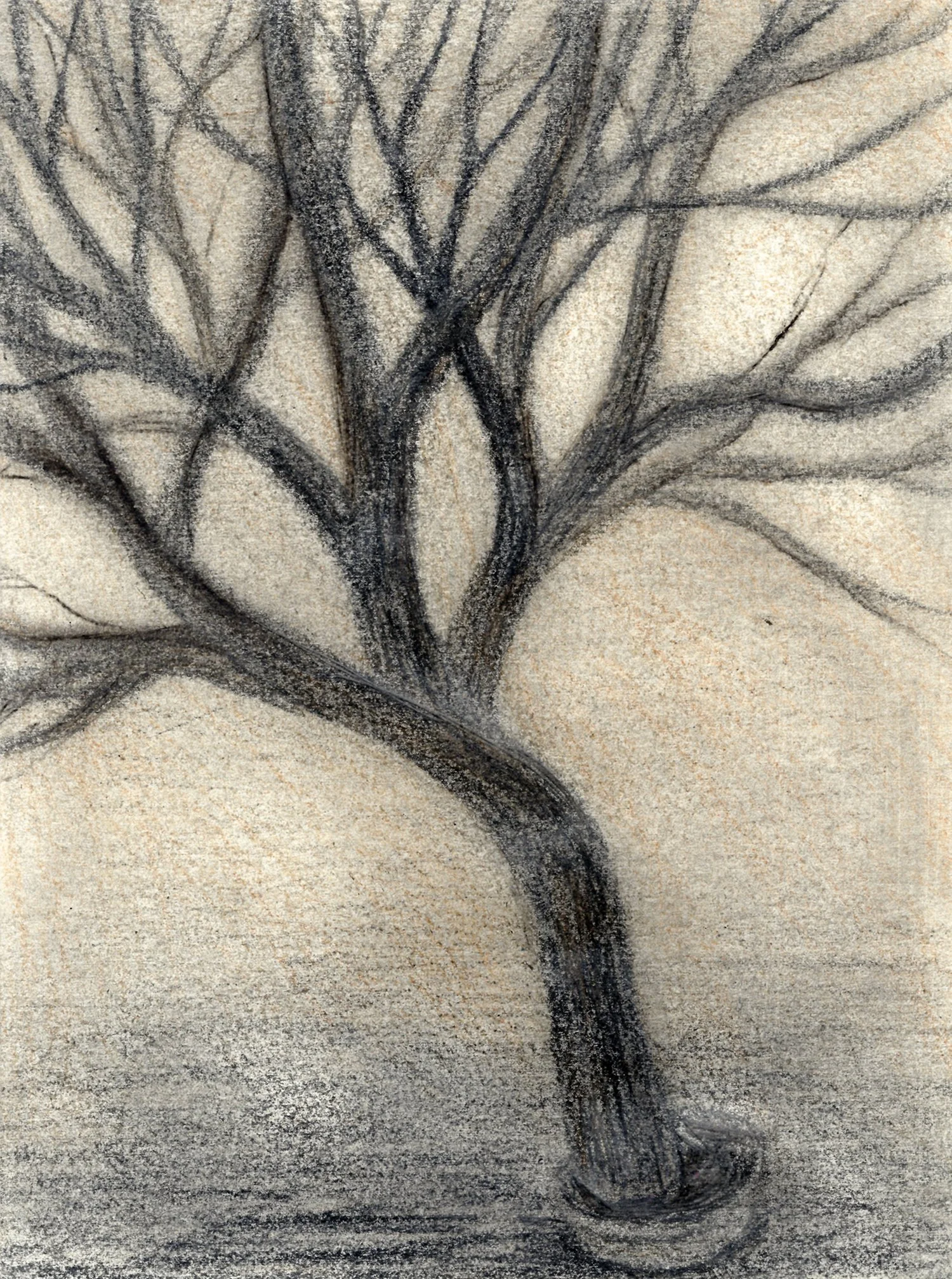WinterTree_14.jpg