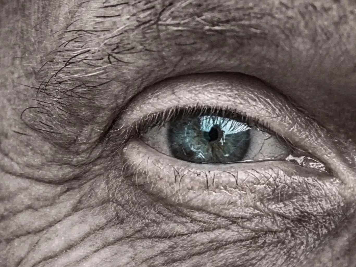 Nahaufnahme eines menschlichen Auges mit blauer Iris und sichtbaren Augenlidern, Wimpern und Hautfalten.