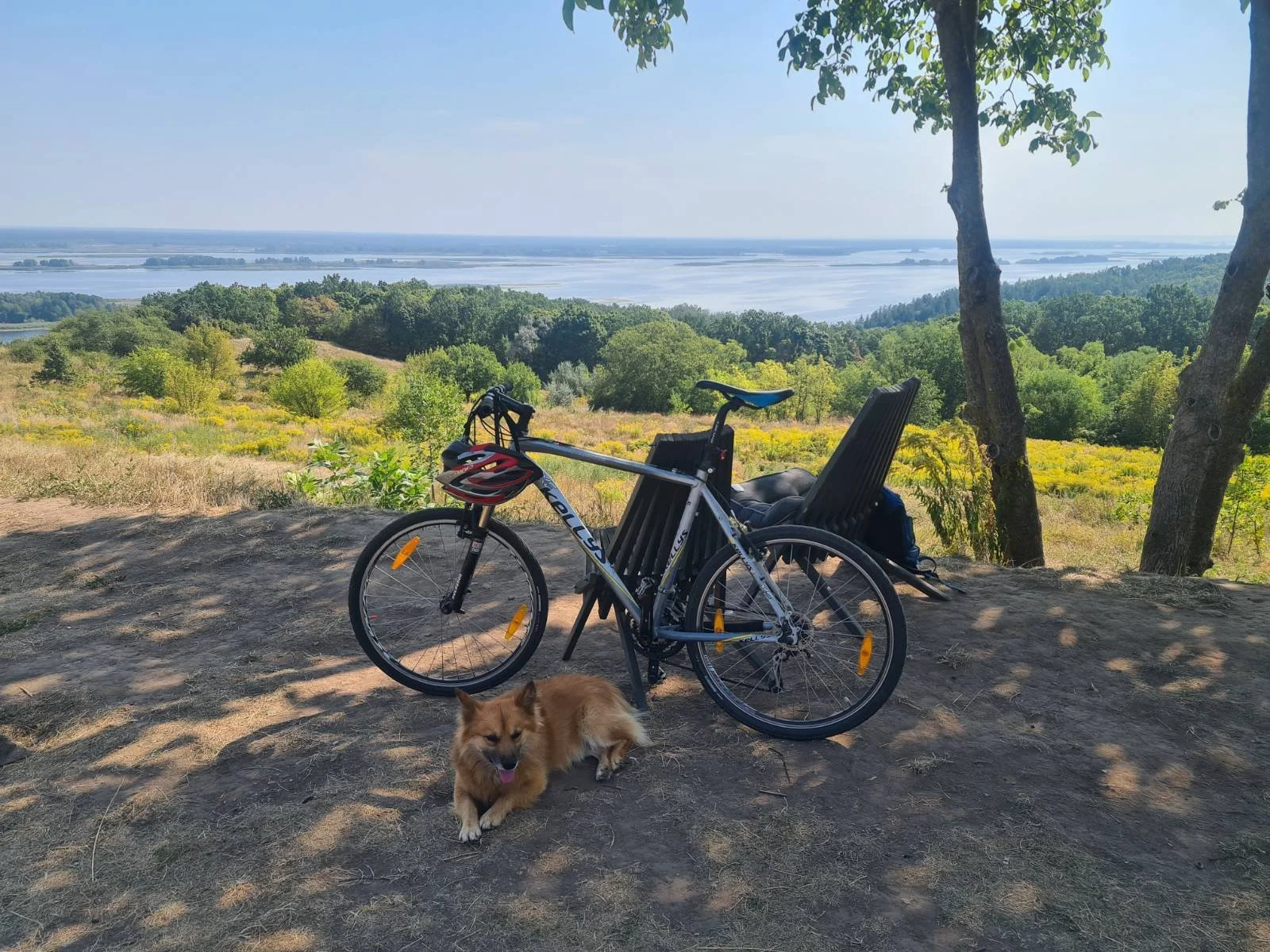 A postcards from a friend from Ukraine. 

It is difficult to convey the darkness with which the occupying country is trying to envelop the hearts of Ukrainians with its actions.

But Ukraine is not russіа, this is probably already clear to everyone i