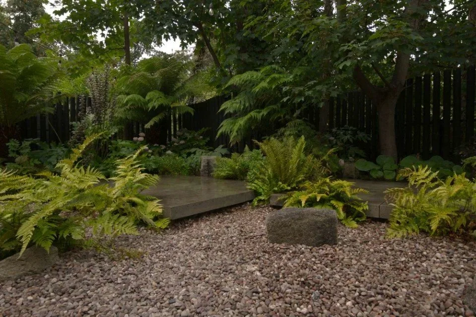 A lush garden scene with green plants, ferns, trees, and a black wooden fence in the background. There is a stone and a gravel pathway, with a raised platform or deck among the plants.