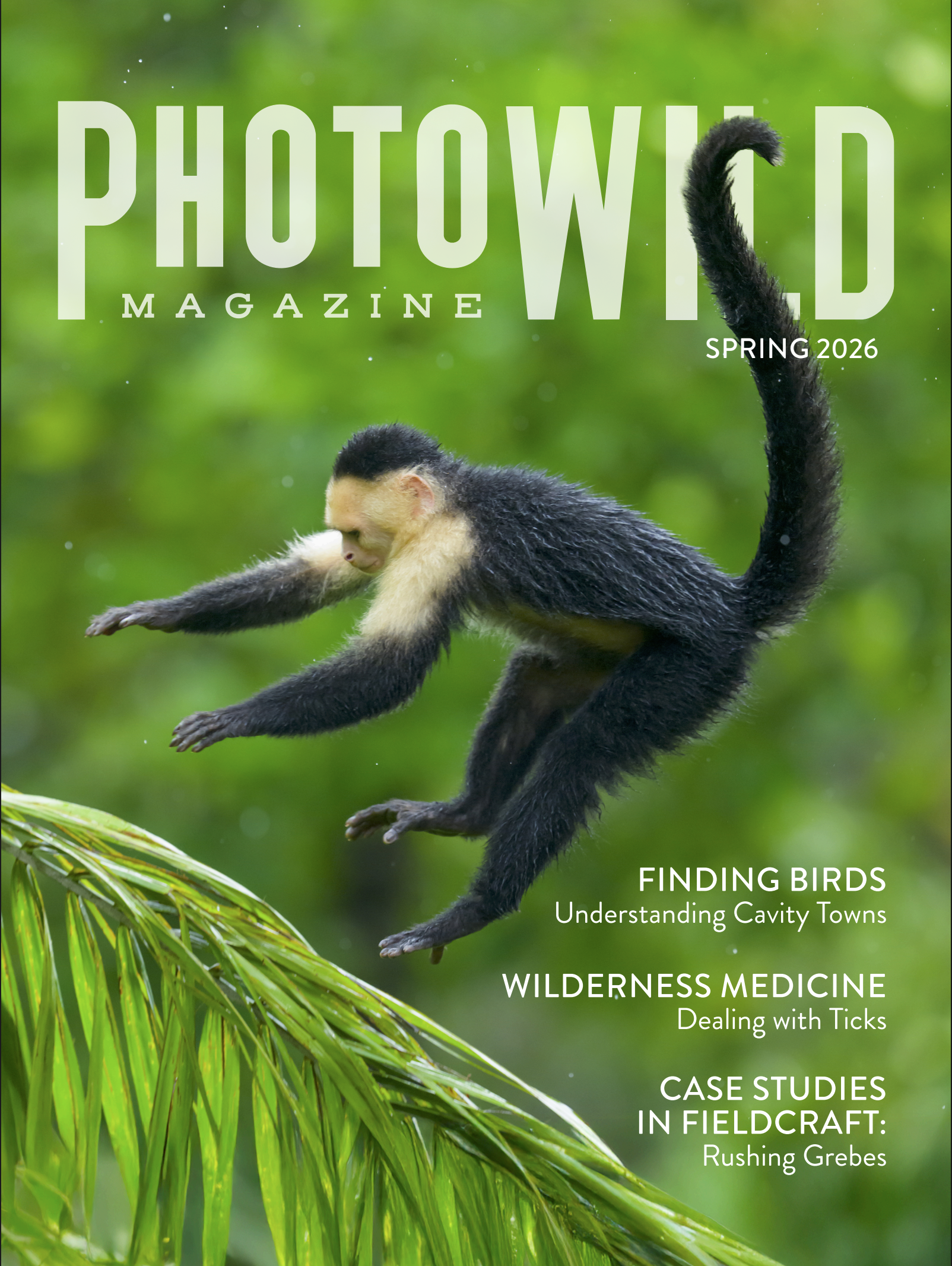 The cover of PhotoWILD Magazine, Spring edition, 2026. Image of a white-faced capuchin jumping through the air.