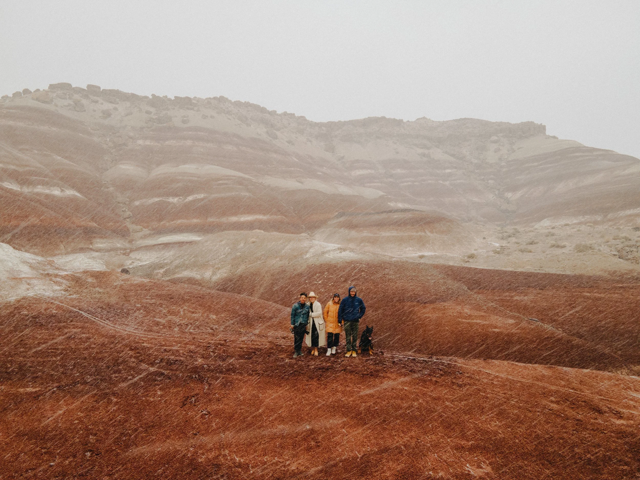 Beauceron Breeder located in San Diego, California. AKC Registered