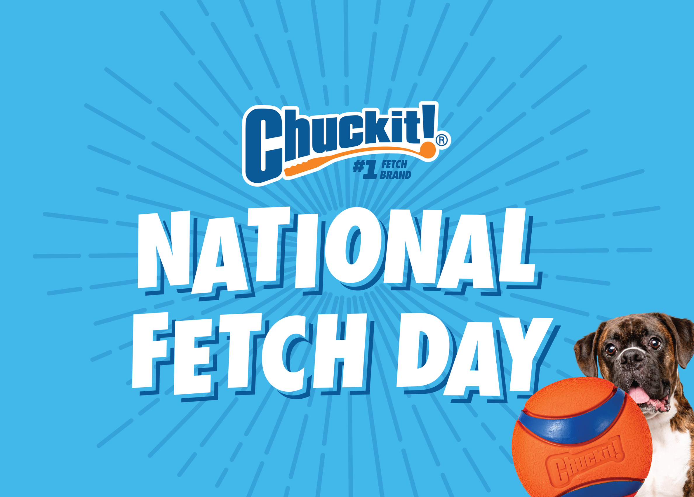 Chuckit!: National Fetch Day Campaign